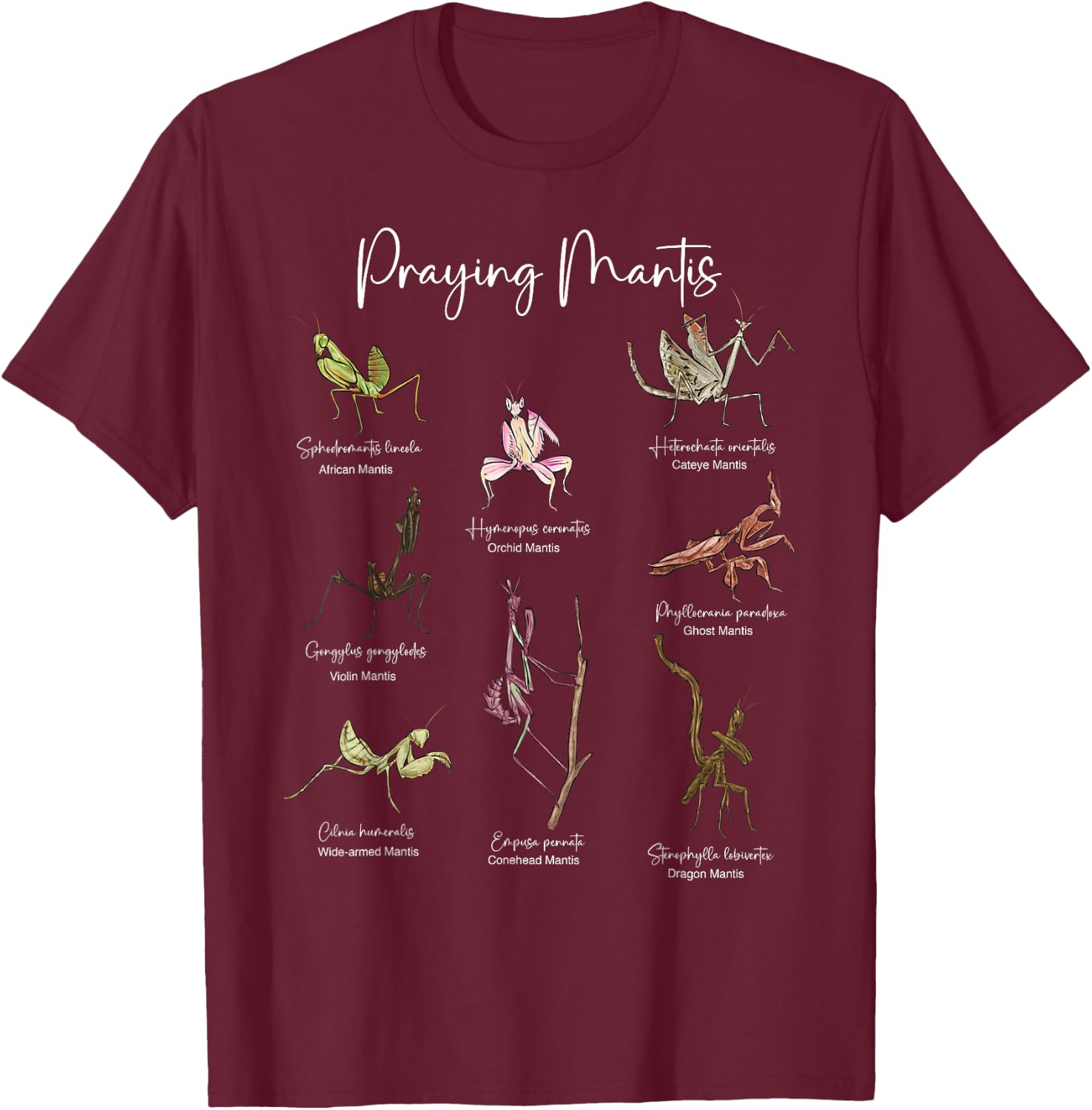 Types Of Praying Mantis Insect Collector Entomologist T-Shirt - T-Shirt | Maroon