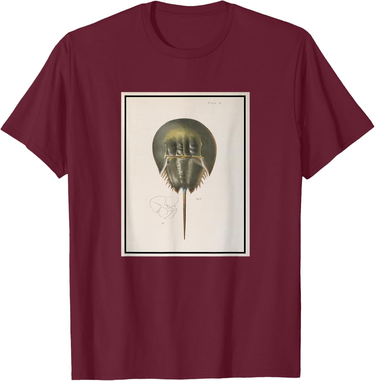 Vintage Horseshoe Crab Illustration (1844) T-Shirt - T-Shirt | Maroon