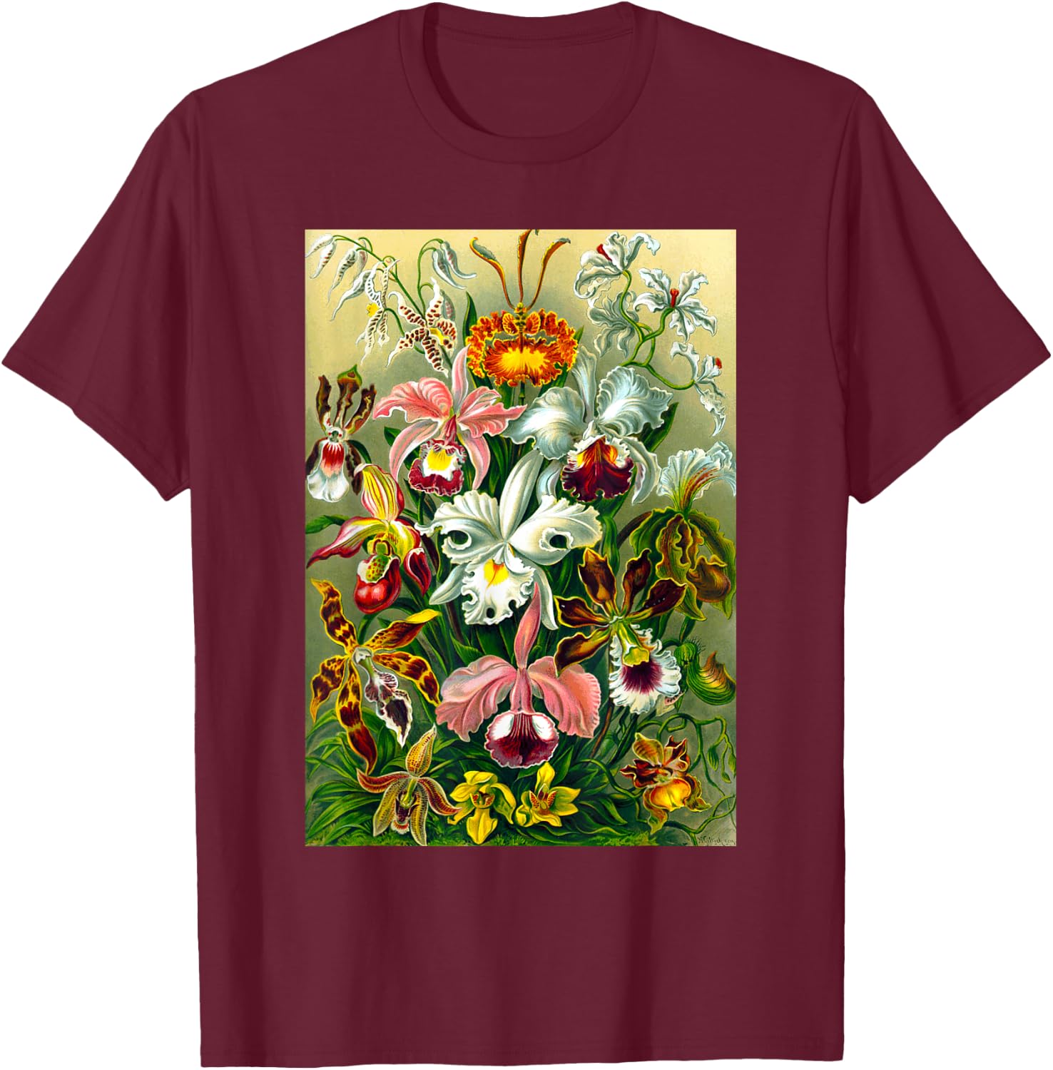 Ernst Haeckel Vintage Biological Botanical Orchid Art T-Shirt - T-Shirt | Maroon