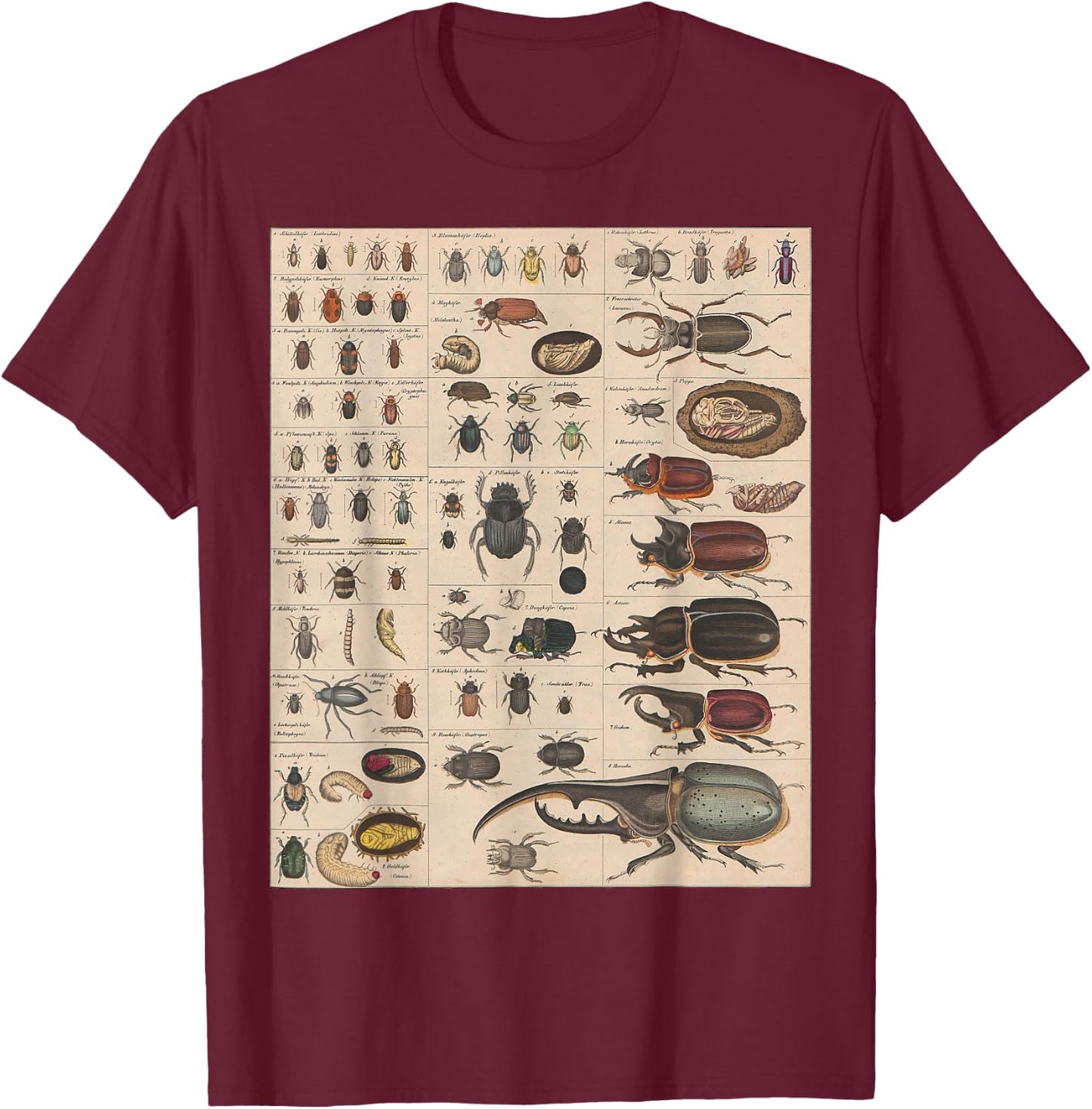 Insects Collection Species Bugs vintage Chart Entomology T-Shirt - T-Shirt | Maroon
