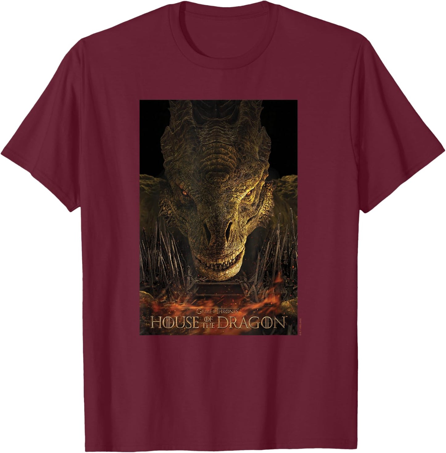House of the Dragon Syrax Fire And Blood Poster T-Shirt - T-Shirt | Maroon