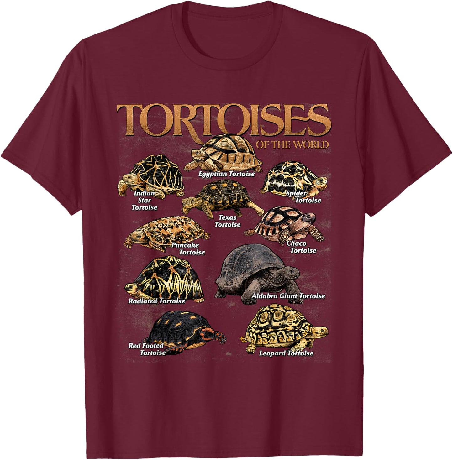 Tortoises Animals of The World Educational Sea Turtle Lover T-Shirt - T-Shirt | Maroon