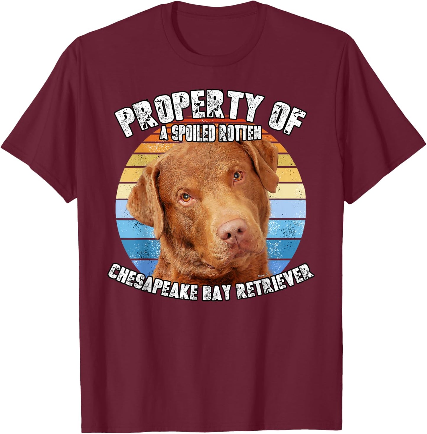 Chesapeake Bay Retriever Property Of T-Shirt - T-Shirt | Maroon