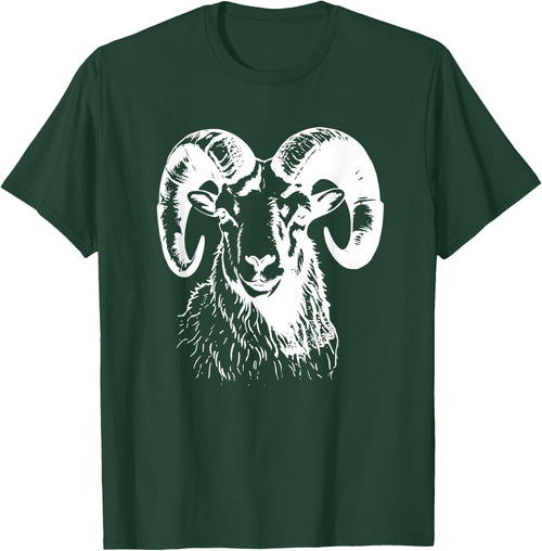 Bighorn Sheep Big Horn Sheep