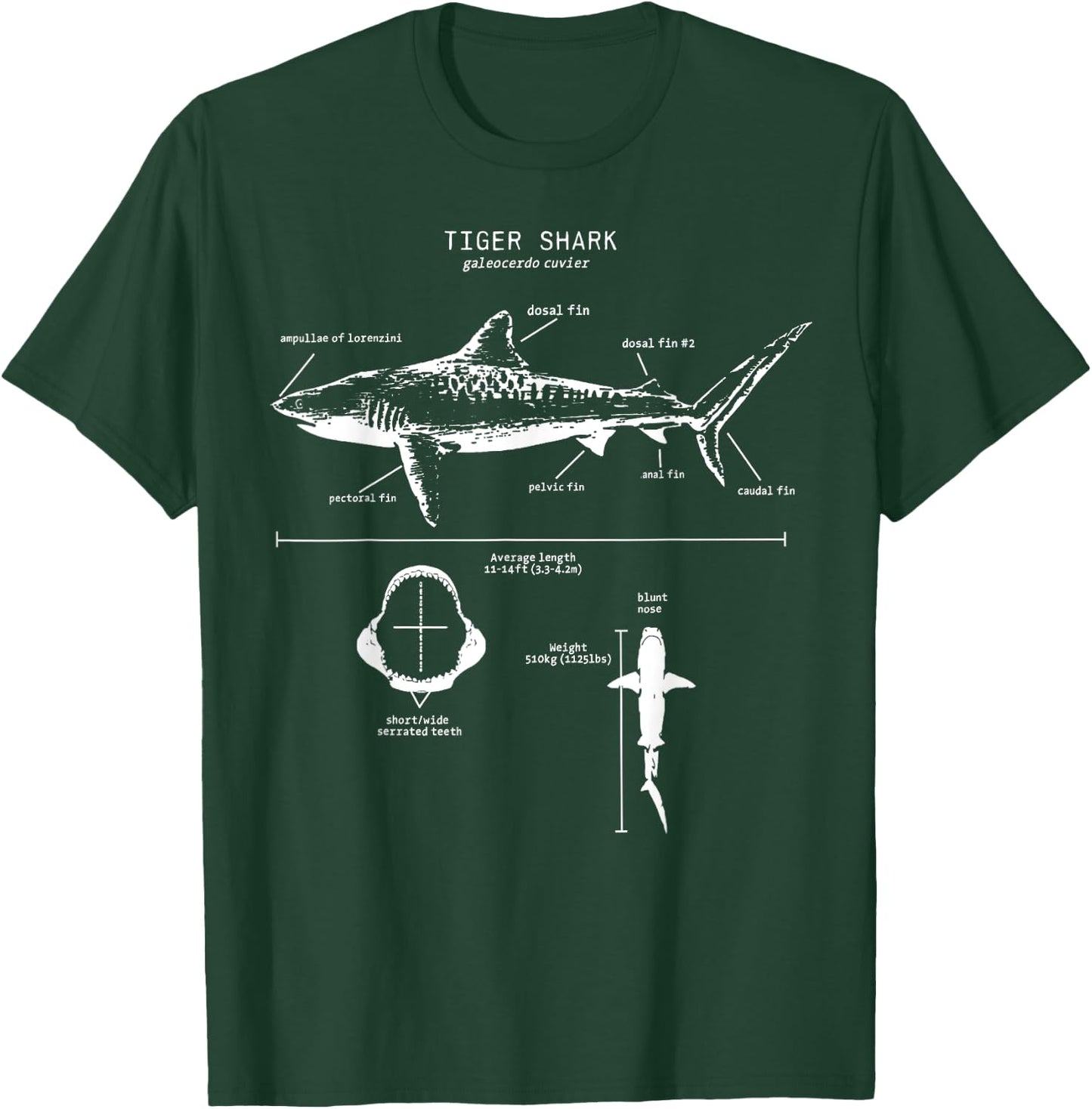 Tiger Shark Anatomy Marine Biologist T-Shirt - T-Shirt | Forest