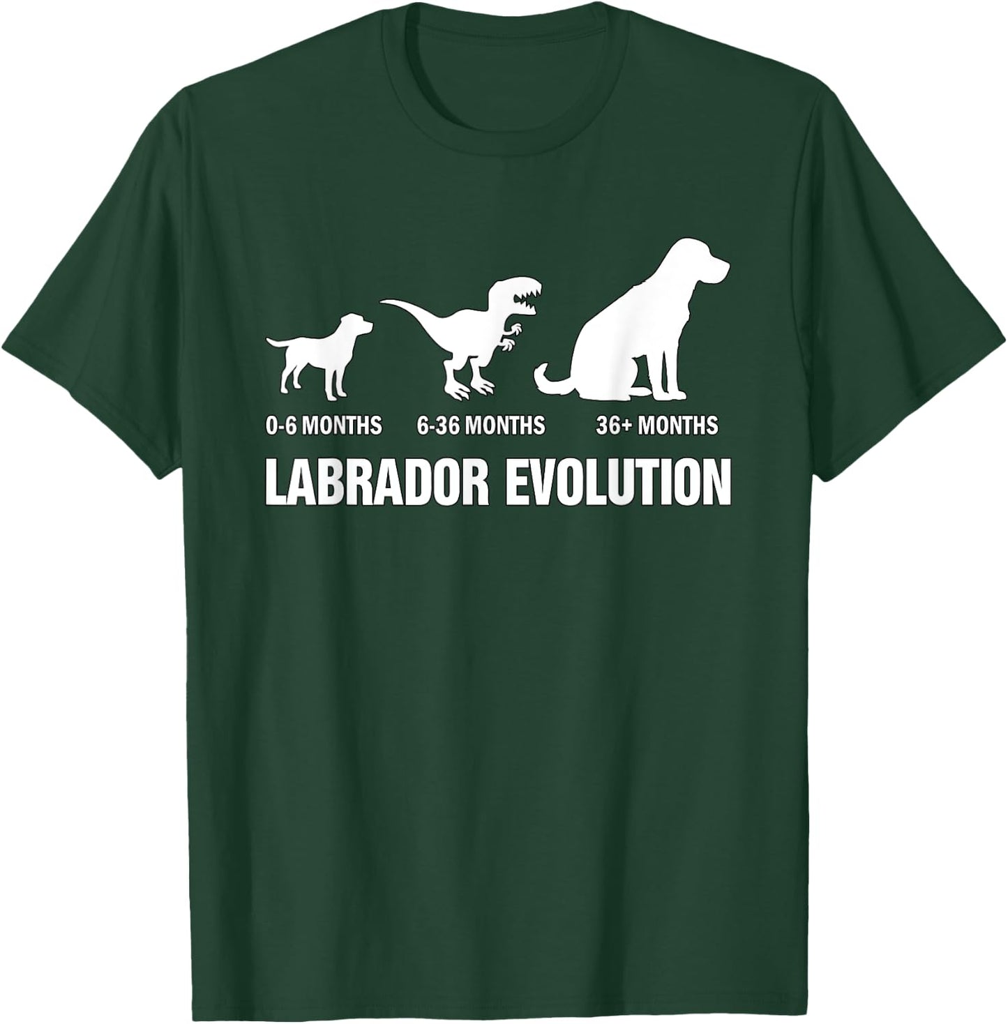 Labrador Retriever Evolution Dog Funny Saying T-Shirt - T-Shirt | Forest