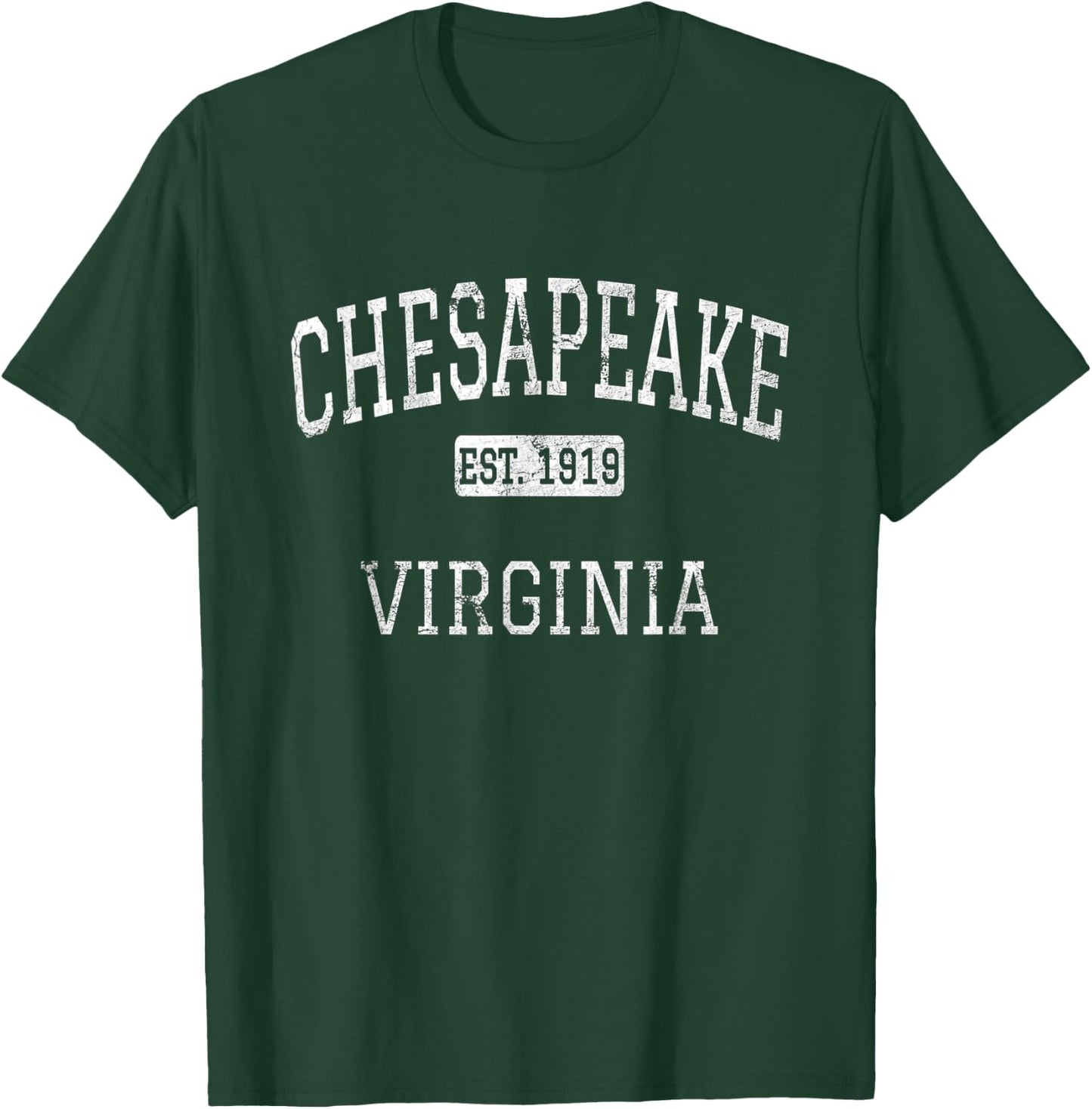 Chesapeake Virginia VA Vintage T-Shirt - T-Shirt | Forest