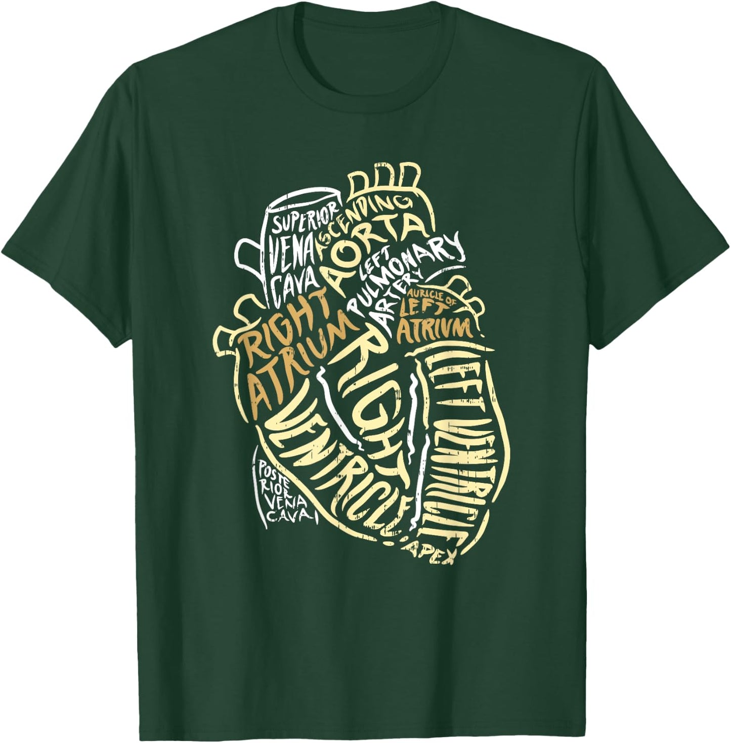 Heart Specialist Anatomy Doctor Medical Biology Organ Artery T-Shirt - T-Shirt | Forest