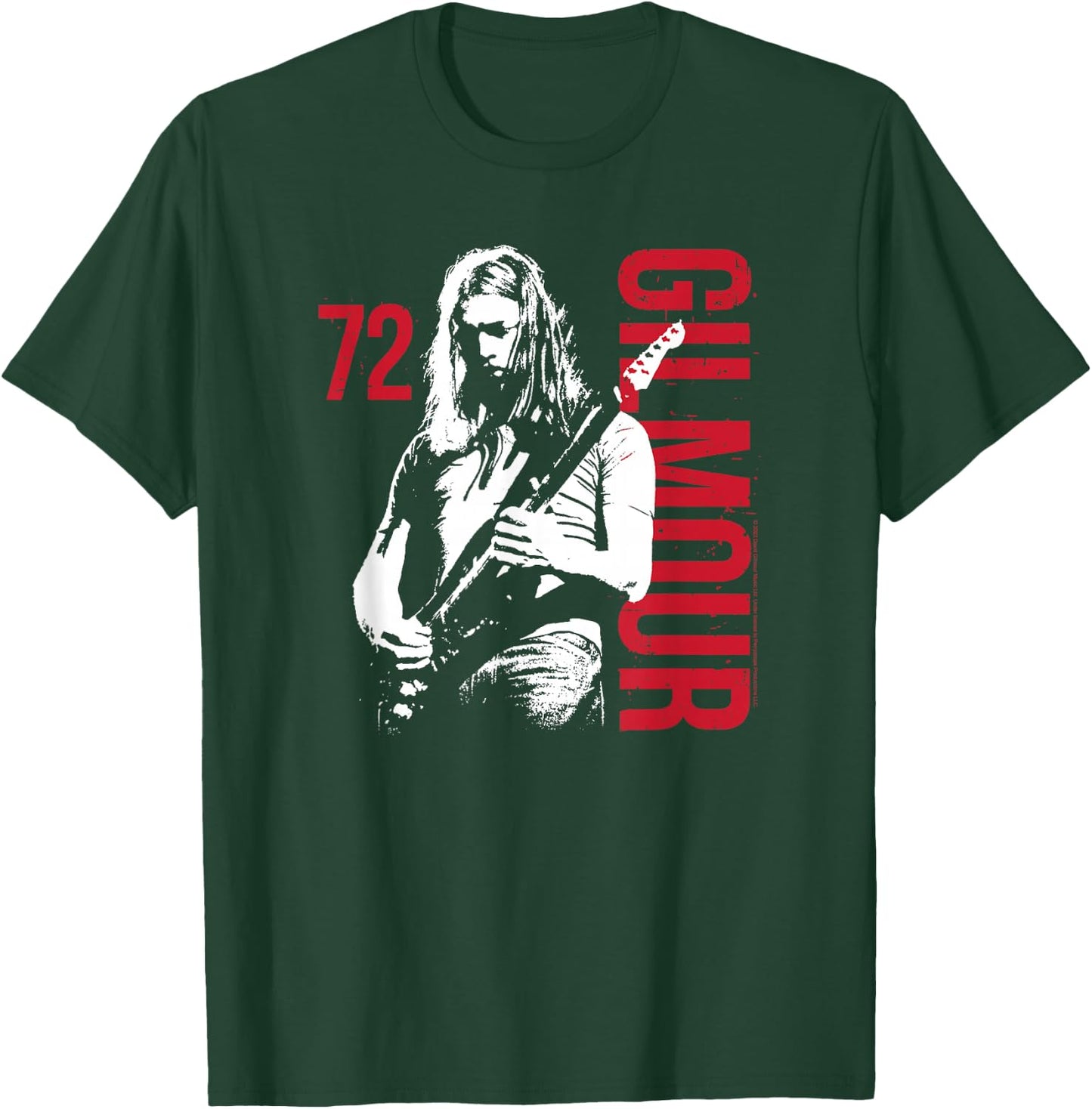 David Gilmour - Gilmour Guitar 72 T-Shirt - T-Shirt | Forest