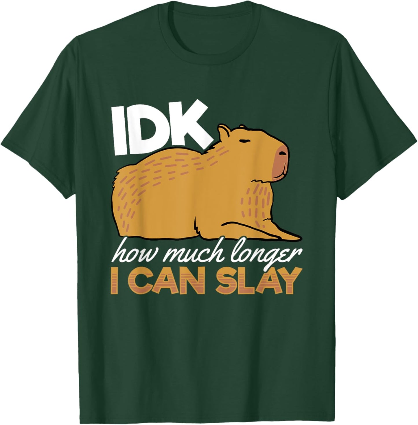 Capybara Animals Pet - idk How Much Longer I Can Slay T-Shirt - T-Shirt | Forest