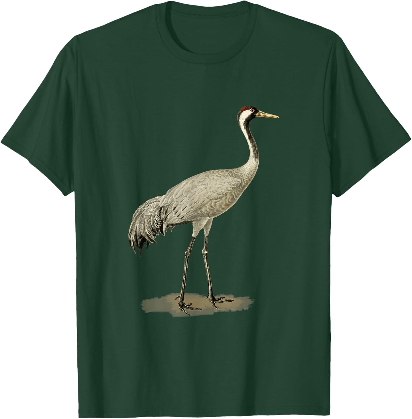 Sandhill Crane Antigone Canadensis Bird Refers North America T-Shirt - T-Shirt | Forest