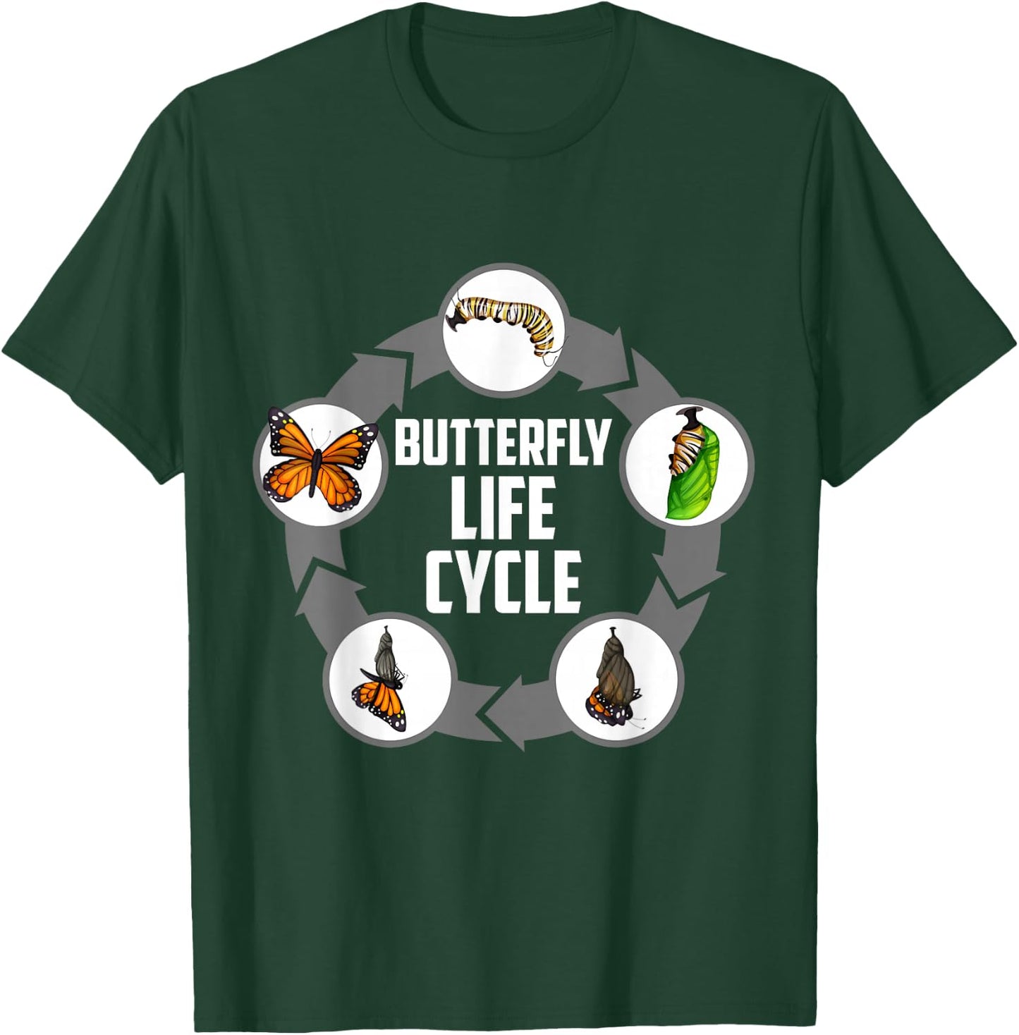 Butterfly Life Cycle Caterpillar Science Biology T-Shirt - T-Shirt | Forest