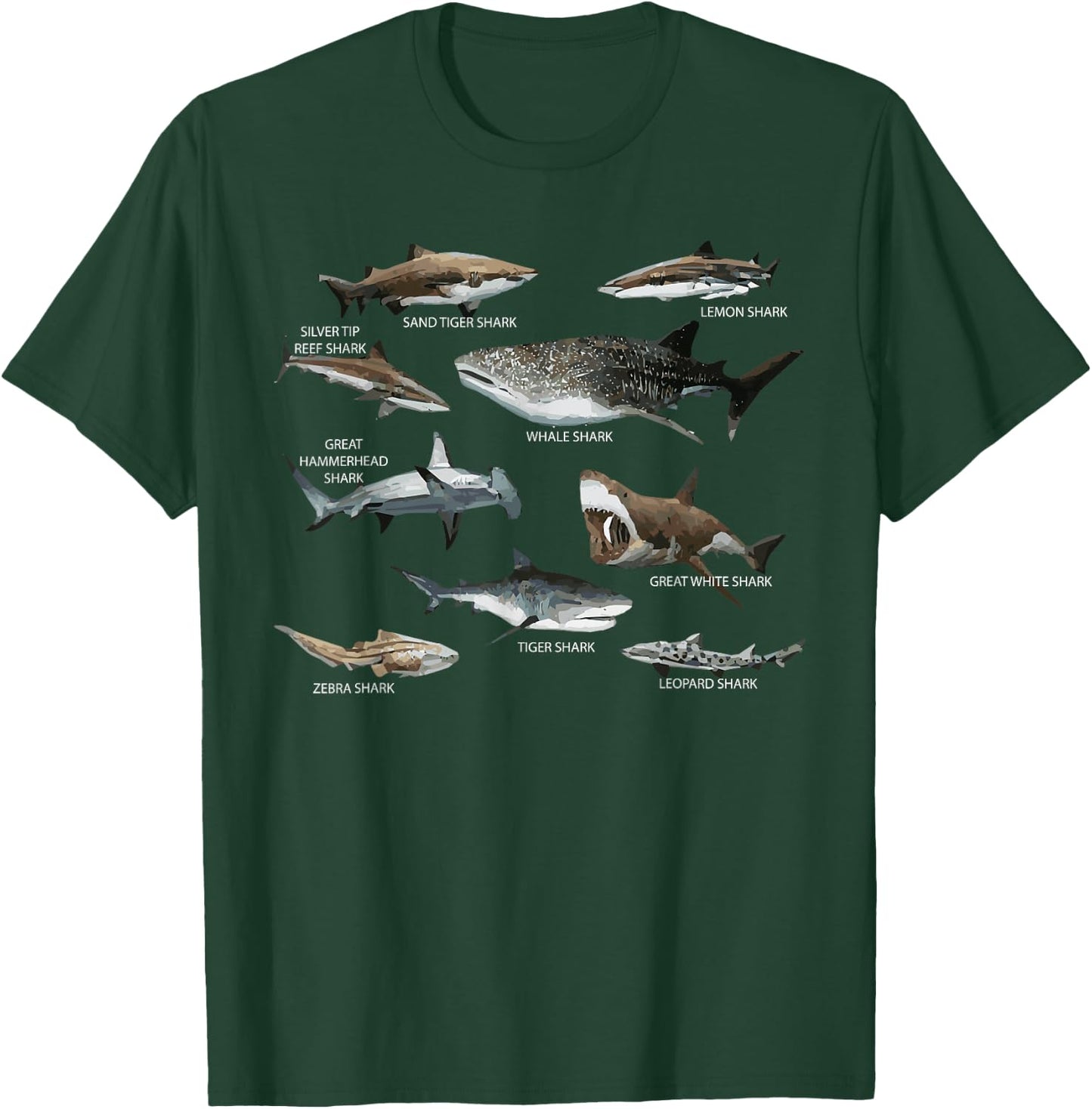 Educational Shark Types Faces Sea Mammals Marine Biologist T-Shirt - T-Shirt | Forest