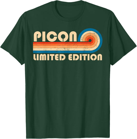 PICON Retro 70s 80s Sunset Stripe T-Shirt - T-Shirt | Forest