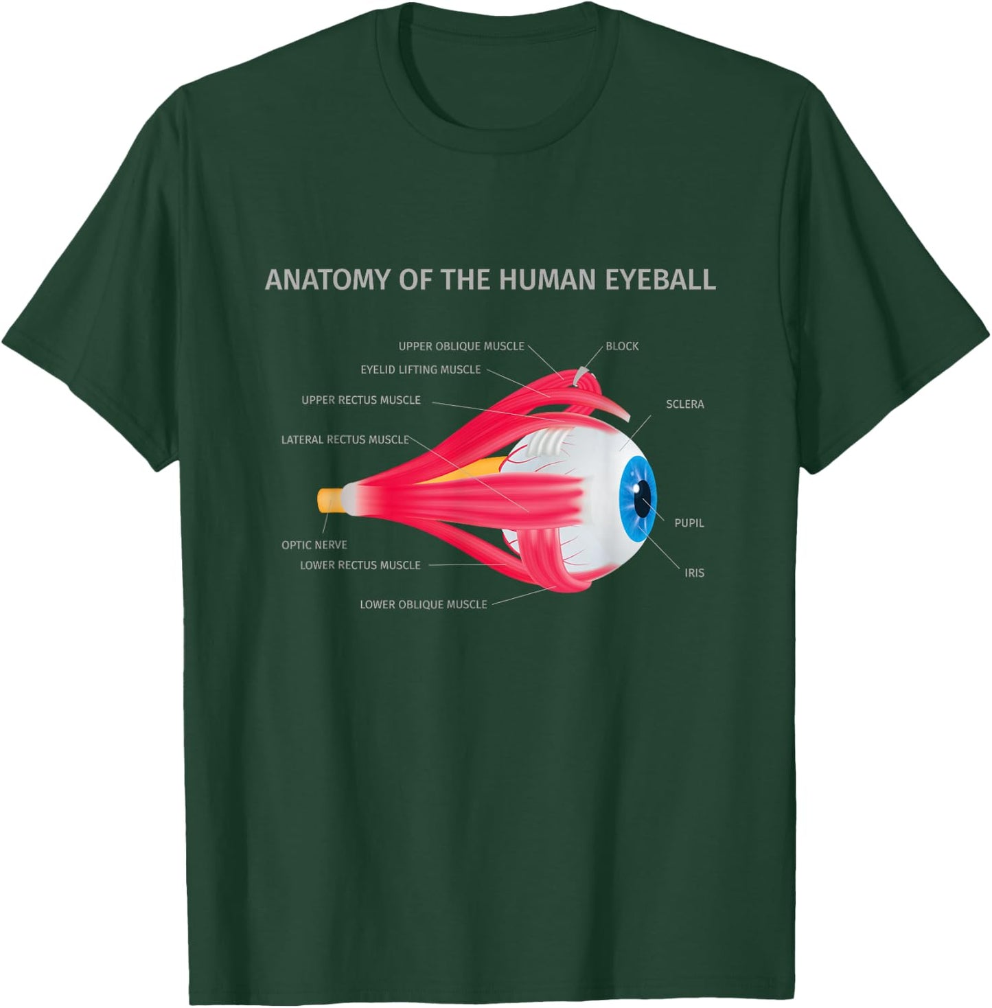 Anatomy of Human Eyeball for Medic T-Shirt - T-Shirt | Forest