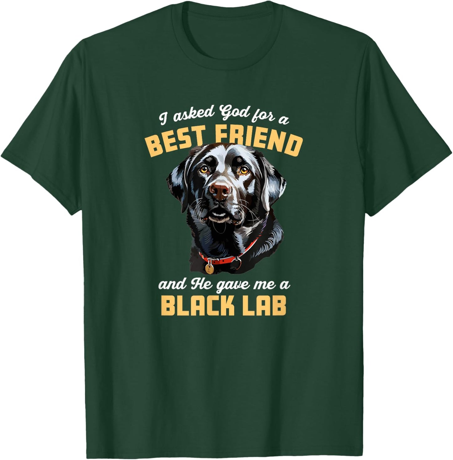 I Asked God For a Best Friend He Gave Me a Black Lab Dog Mom Men Women Girls Kids T-Shirt - T-Shirt | Forest