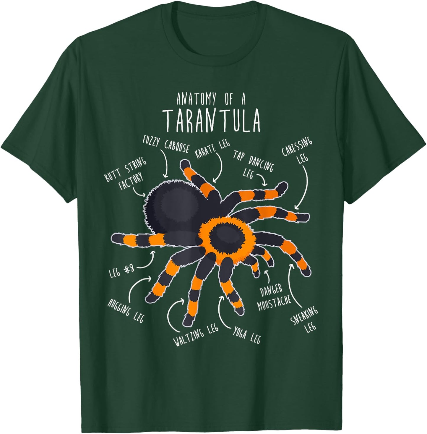 Tarantula Anatomy, Funny Cute Pet Mexican Redknee Spider T-Shirt - T-Shirt | Forest