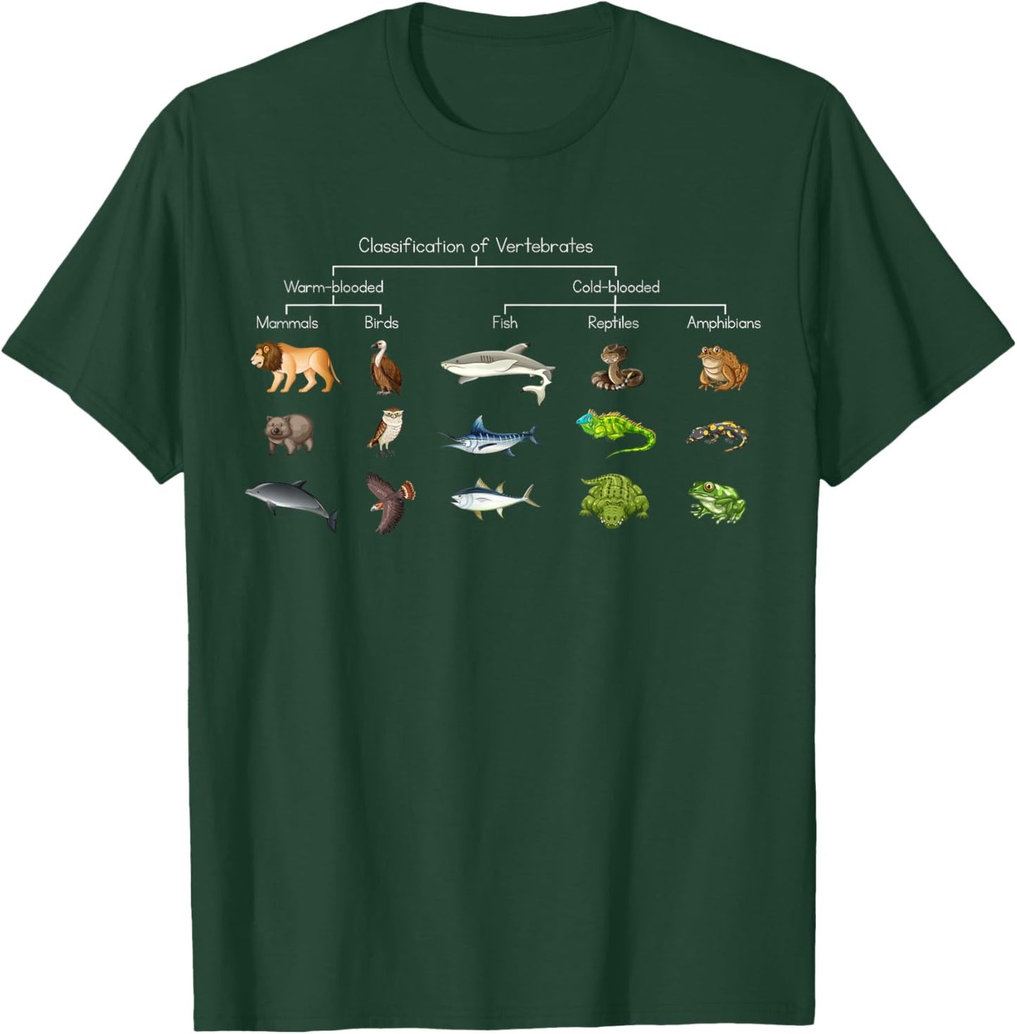 Diagram showing Classification of Vertebrates lover animals T-Shirt - T-Shirt | Forest