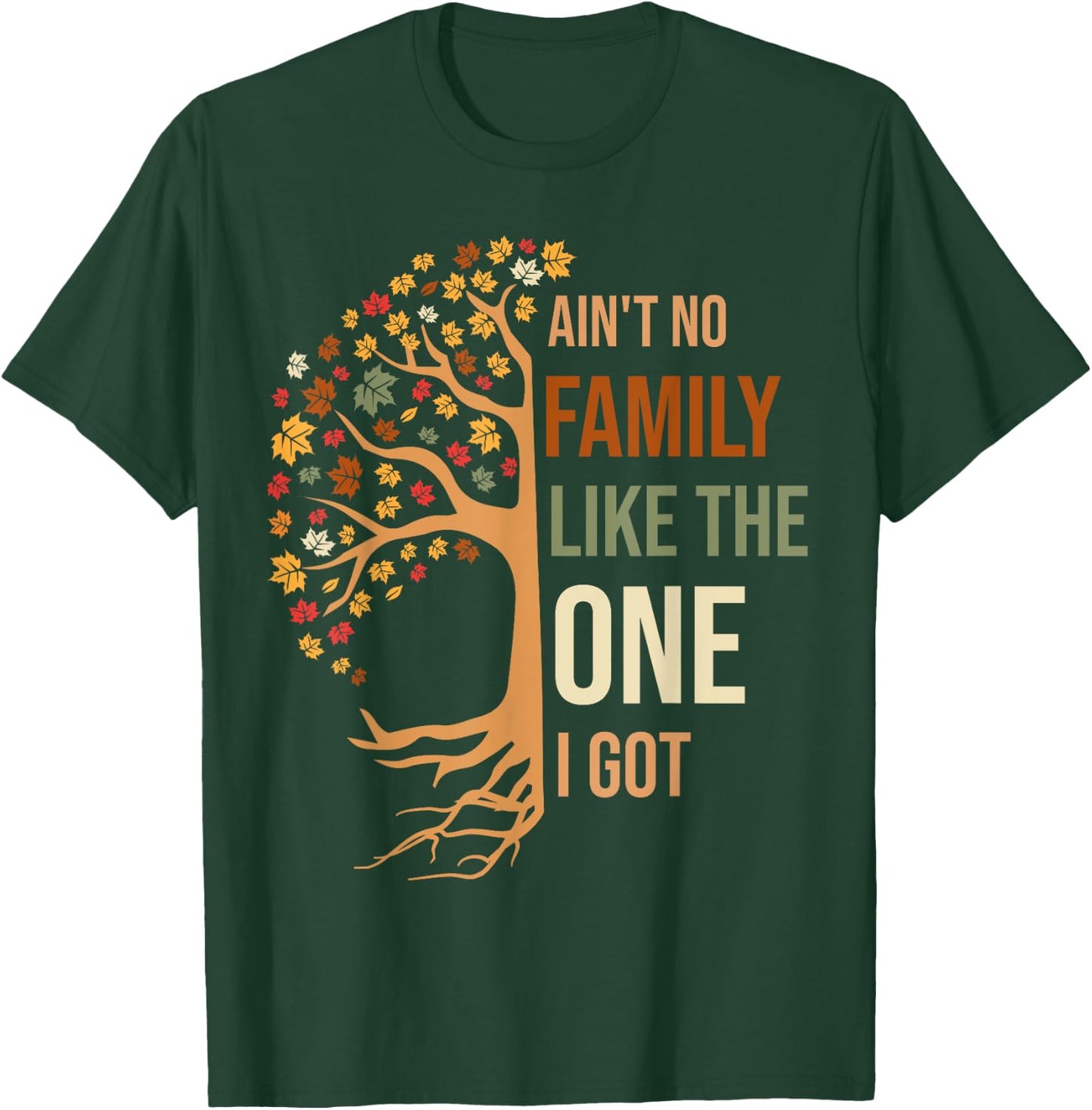 Ain't No Family Like The One I Got Funny Family Reunion 2024 T-Shirt - T-Shirt | Forest