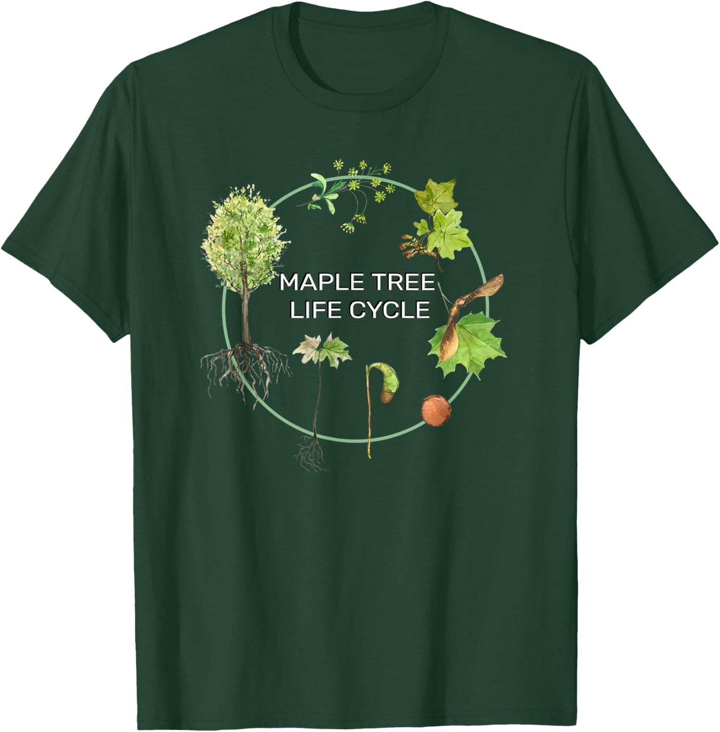 Maple Tree Seasonal Life Cycle Design Seed To Forest Lifespa T-Shirt - T-Shirt | Forest