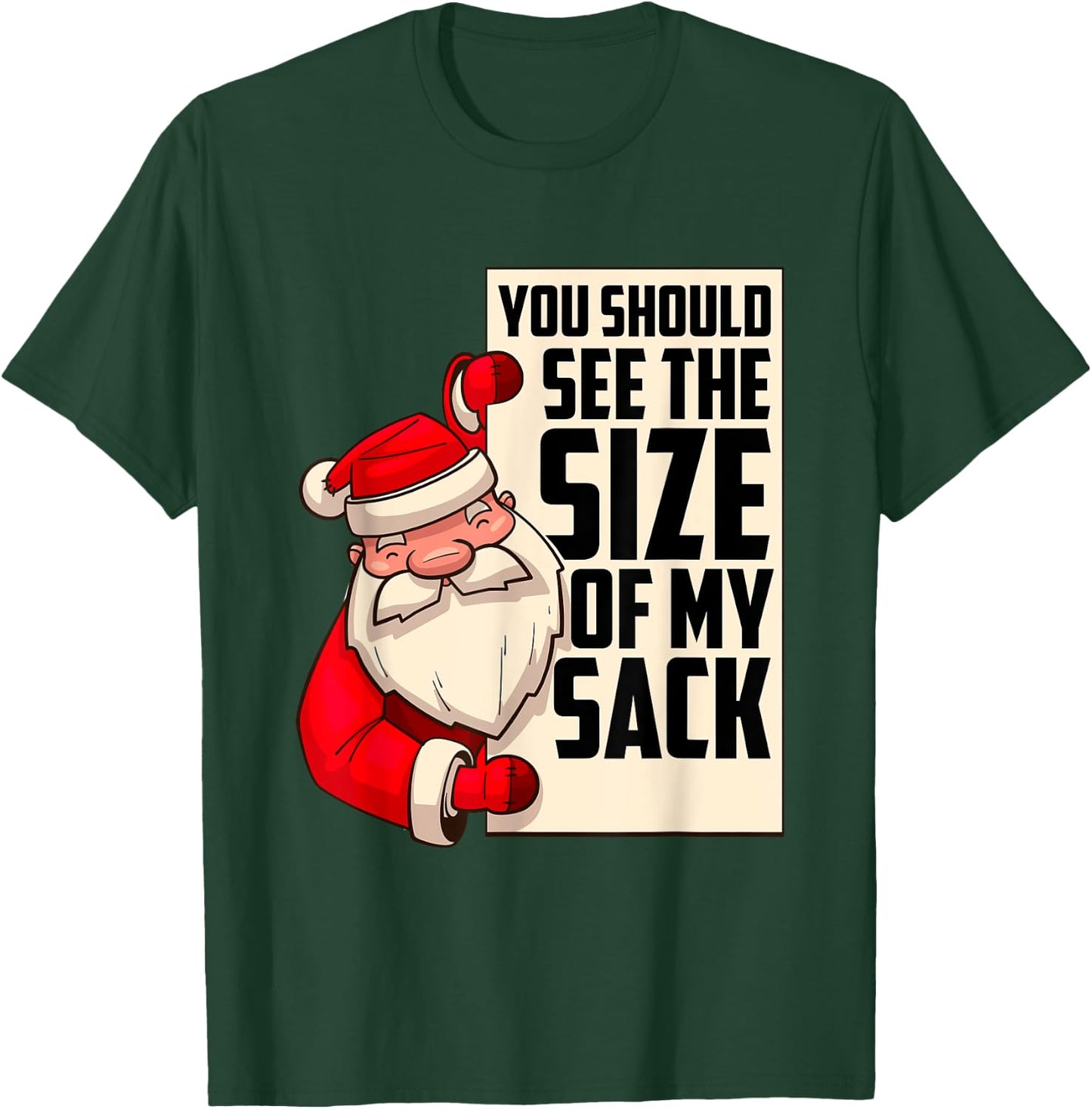 You Should See The Size of My Sack Funny Santa Christmas T-Shirt - T-Shirt | Forest