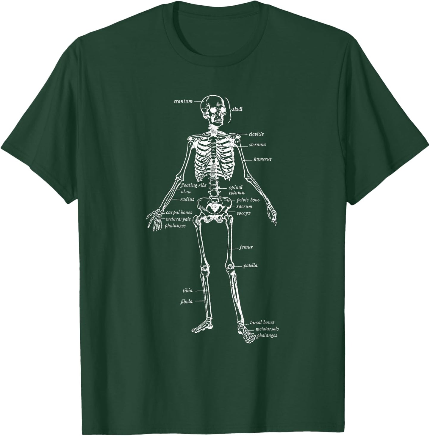 Skeleton Skeletal System Anatomy Names of Bones T-Shirt - T-Shirt | Forest