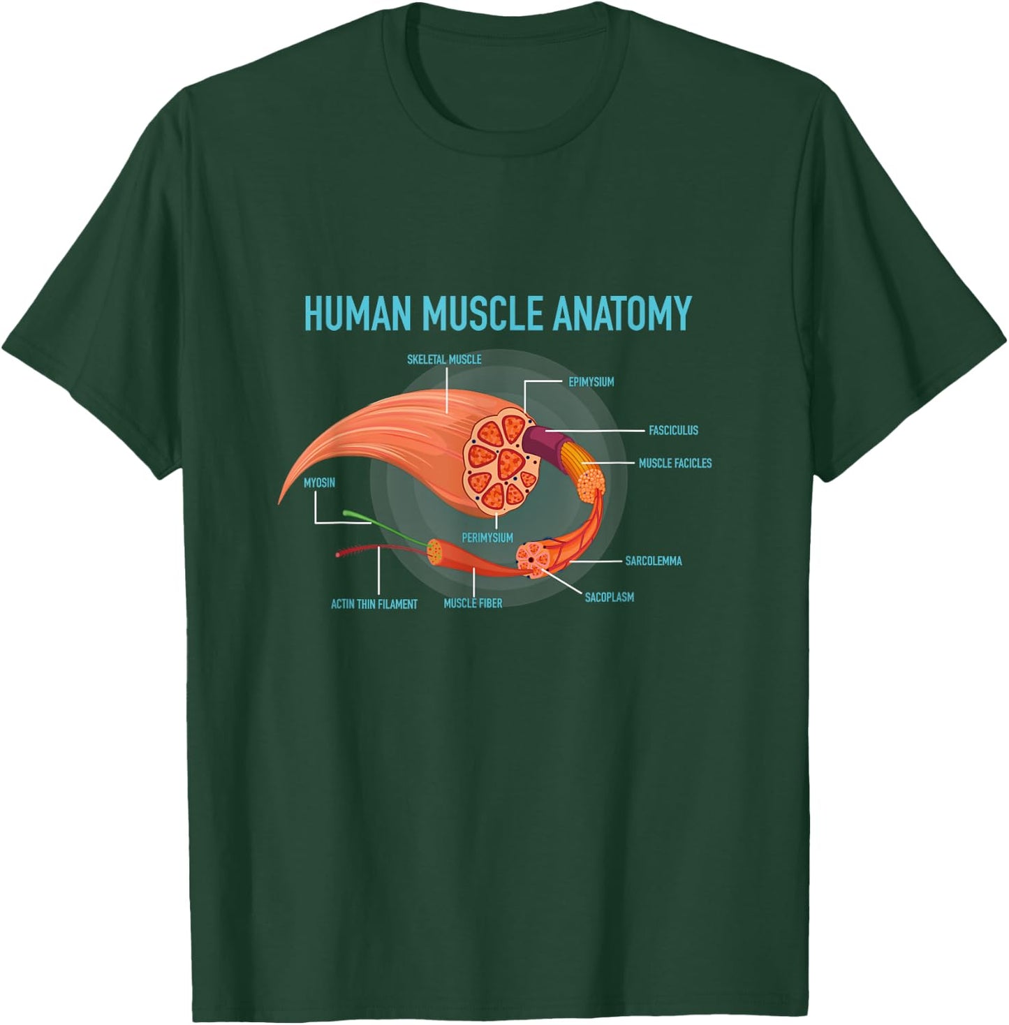 Anatomy of Human Muscle for Medic T-Shirt - T-Shirt | Forest