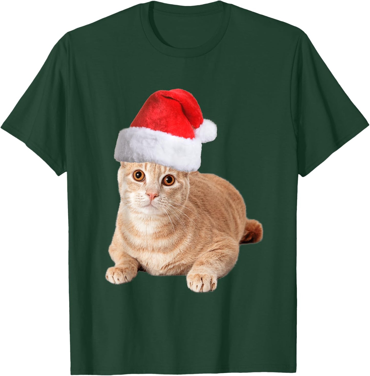 Orange Tabby Cat With Christmas Santa Hat Men T-Shirt - T-Shirt | Forest