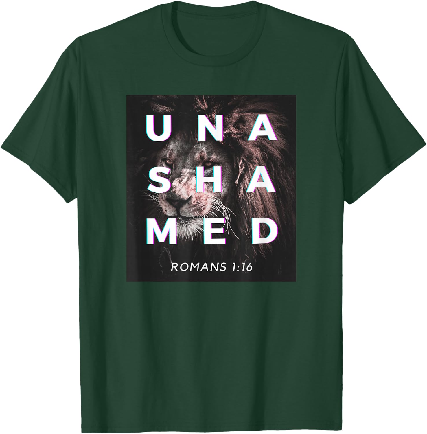 Hail Lion of Judah, Unashamed of the Gospel, Romans 116 T-Shirt - T-Shirt | Forest