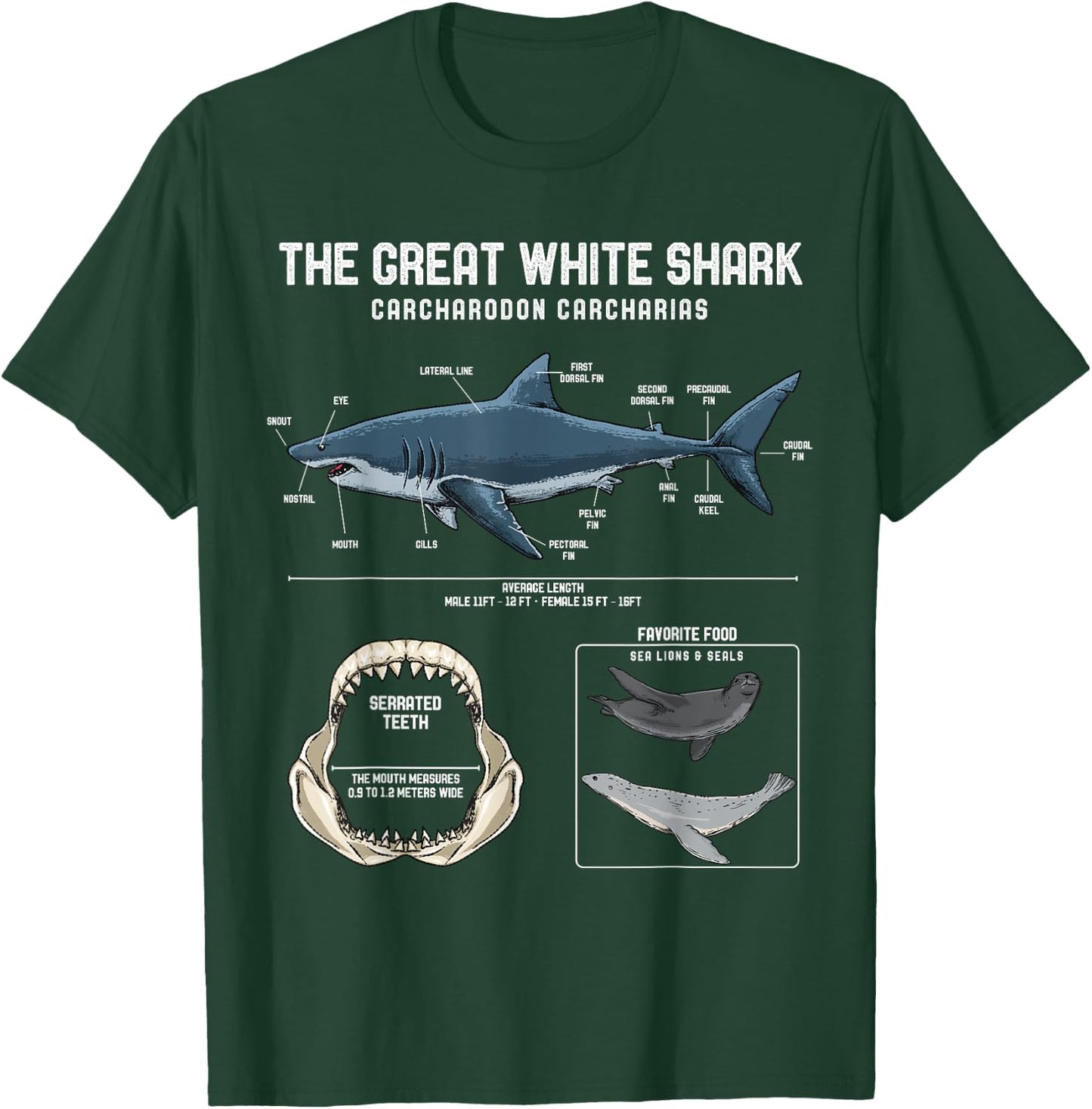 Great White Shark Anatomy Shirt - Shark Marine Biologist T-Shirt - T-Shirt | Forest