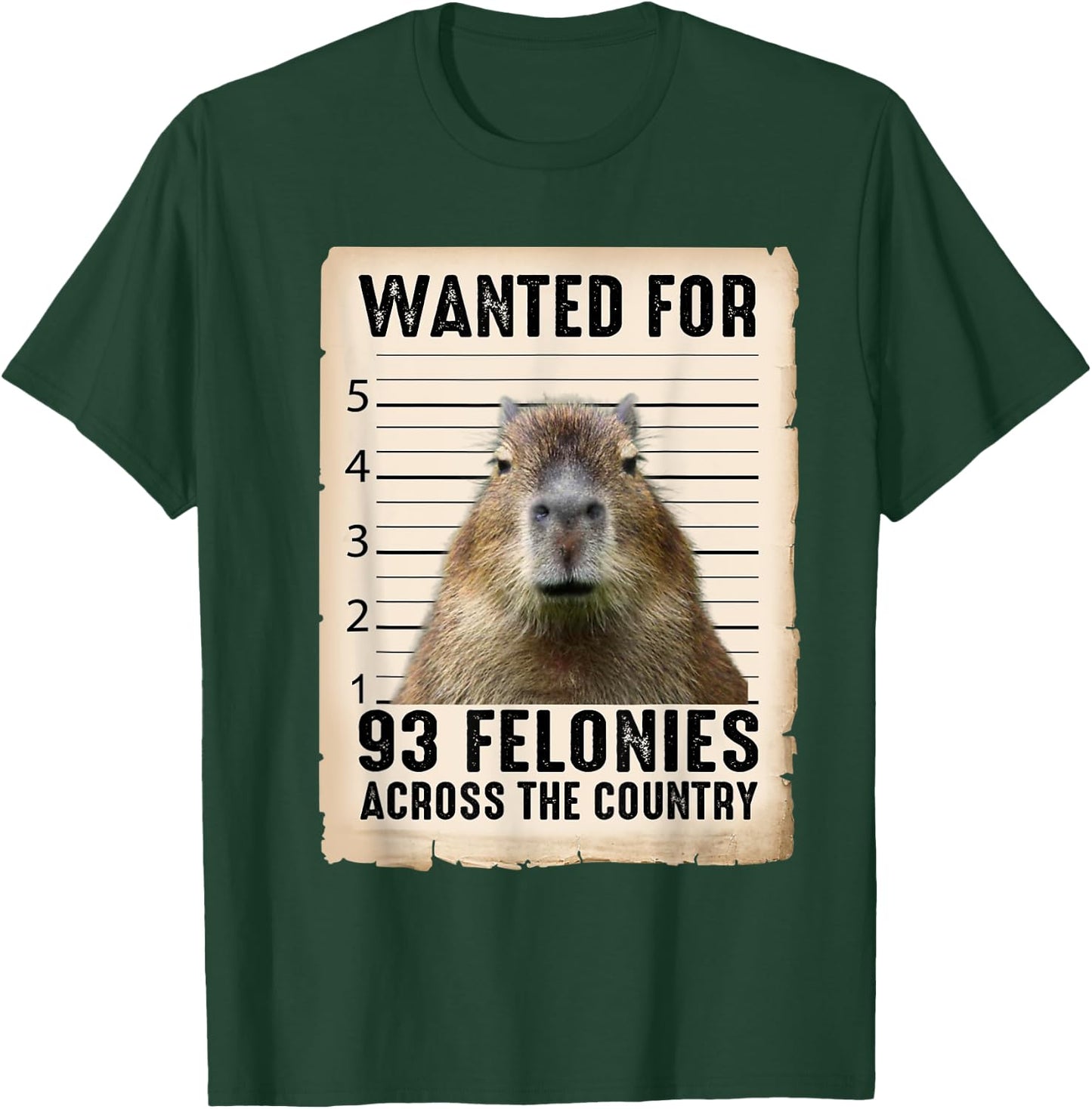 Capybara Gifts Wanted For 93 Felonies Across The Country T-Shirt - T-Shirt | Forest
