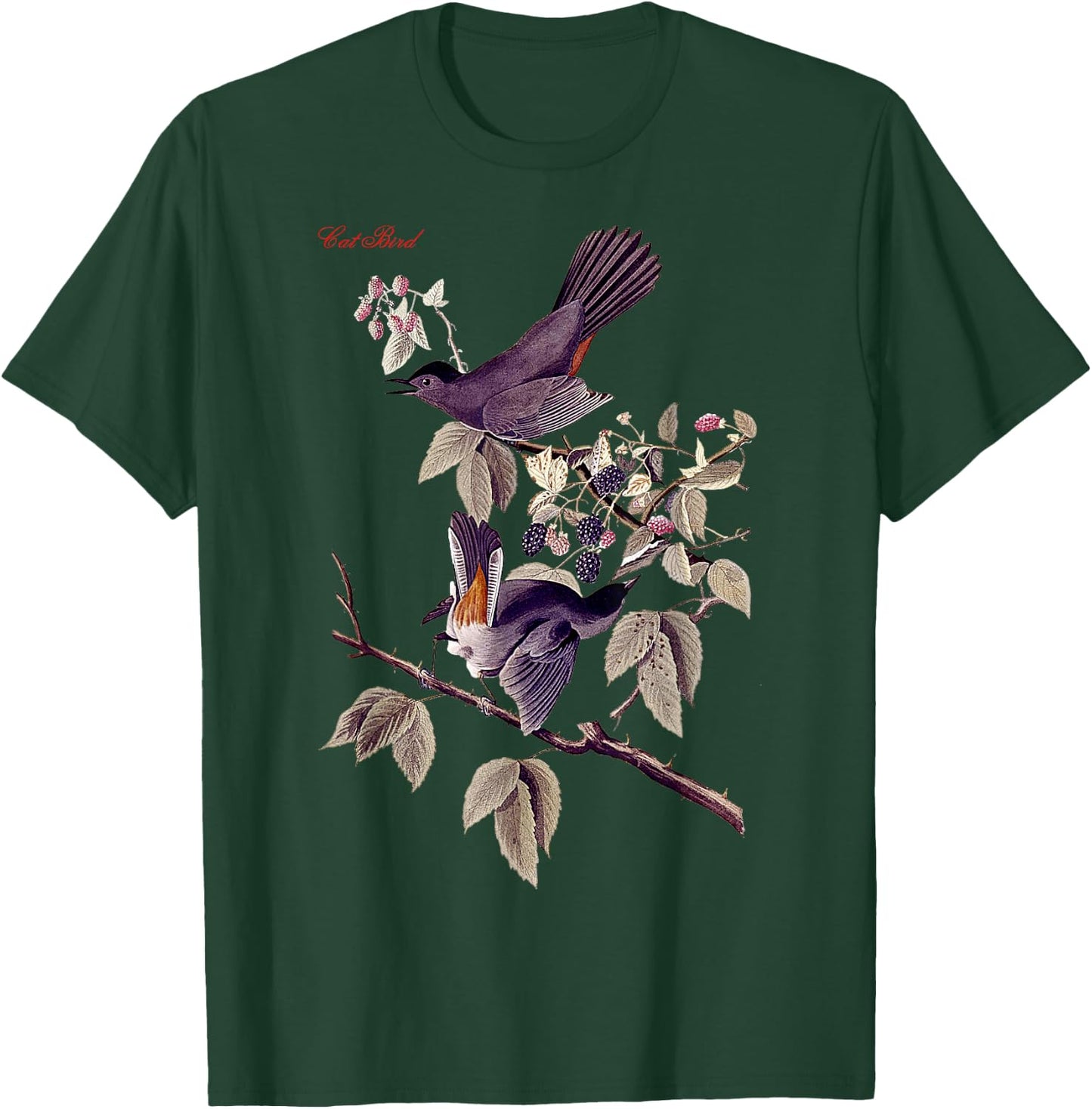 Audubon Cat Bird North American Birds Education Nature T-Shirt - T-Shirt | Forest