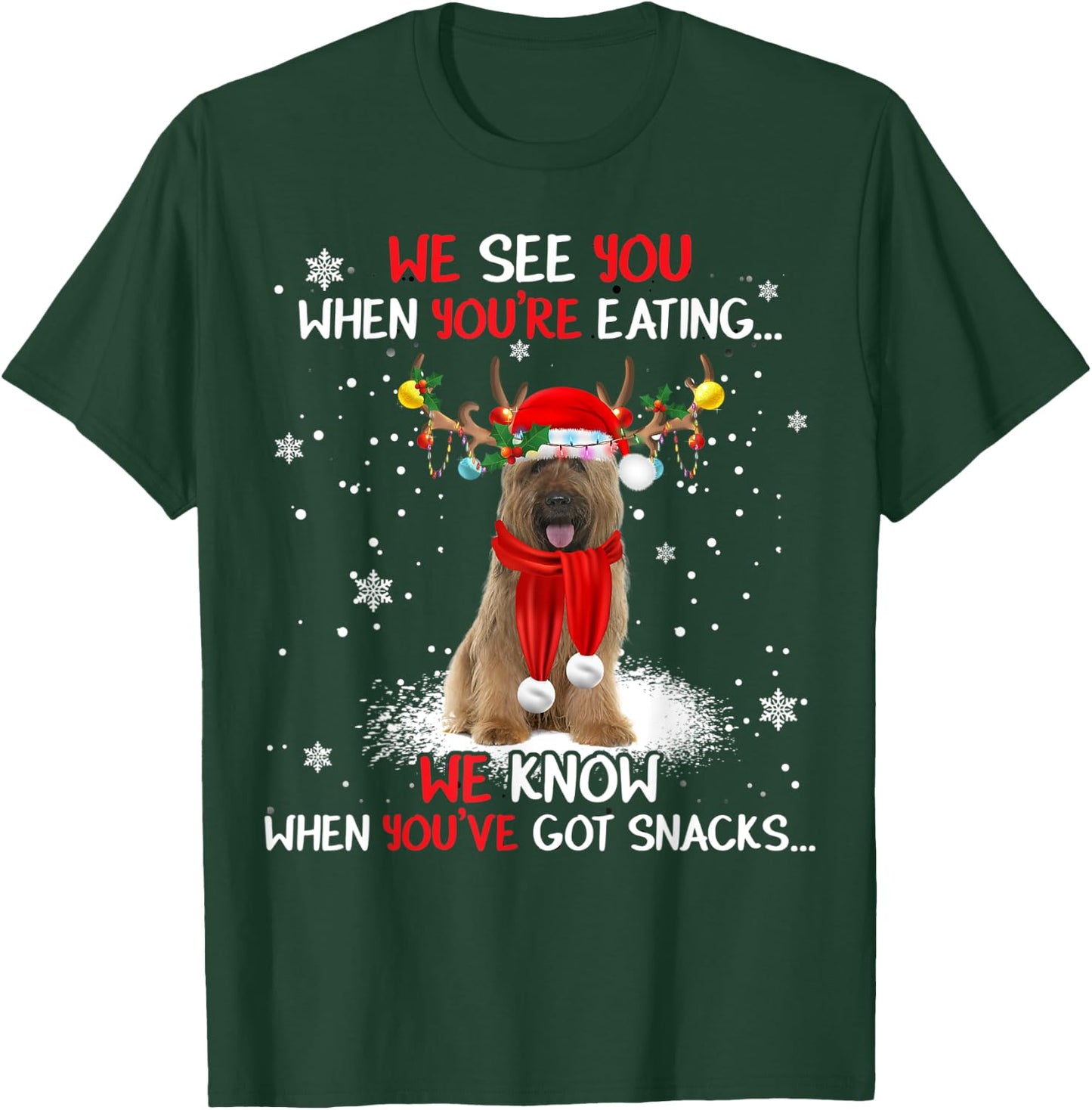 Santa Briard Reindeer Light Christmas Pajama T-Shirt - T-Shirt | Forest