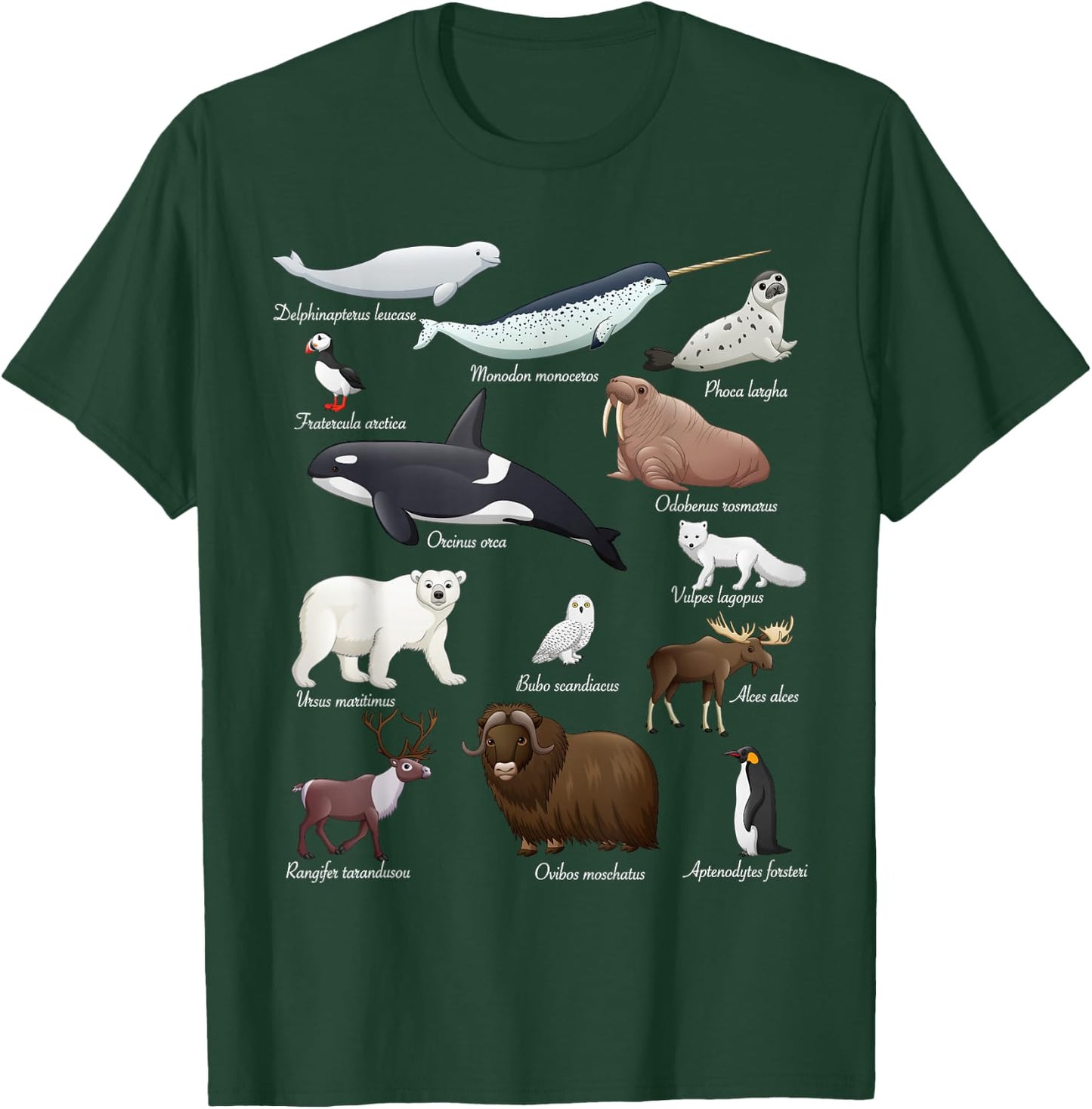 Arctic Wildlife Animals Scientific Names For Education T-Shirt - T-Shirt | Forest