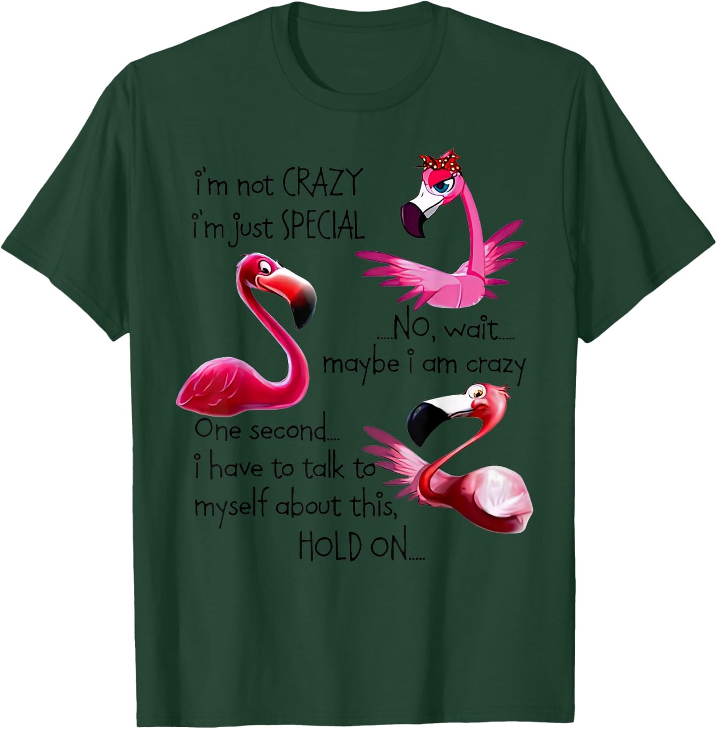Flamingo I’m Not Crazy I’m Just Special No Wait Maybe T-Shirt - T-Shirt | Forest
