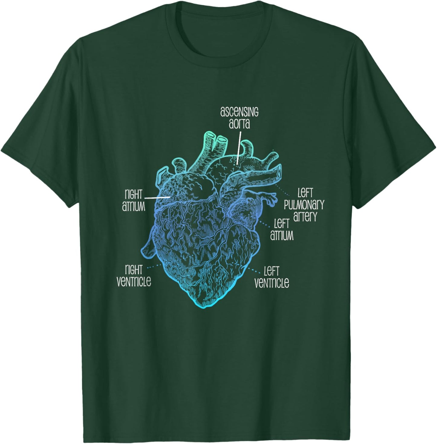 Parts Of Heart Cardiology Men Women Anatomical Cardiac T-Shirt - T-Shirt | Forest