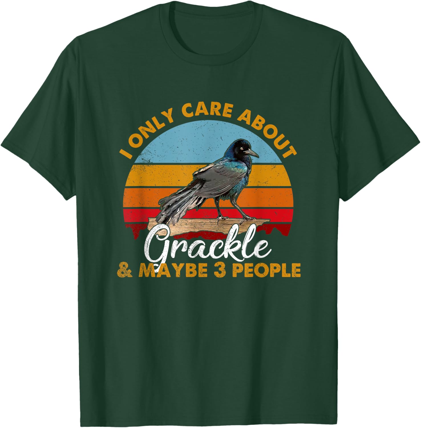 Retro Style Sunset Grackle T-Shirt - T-Shirt | Forest