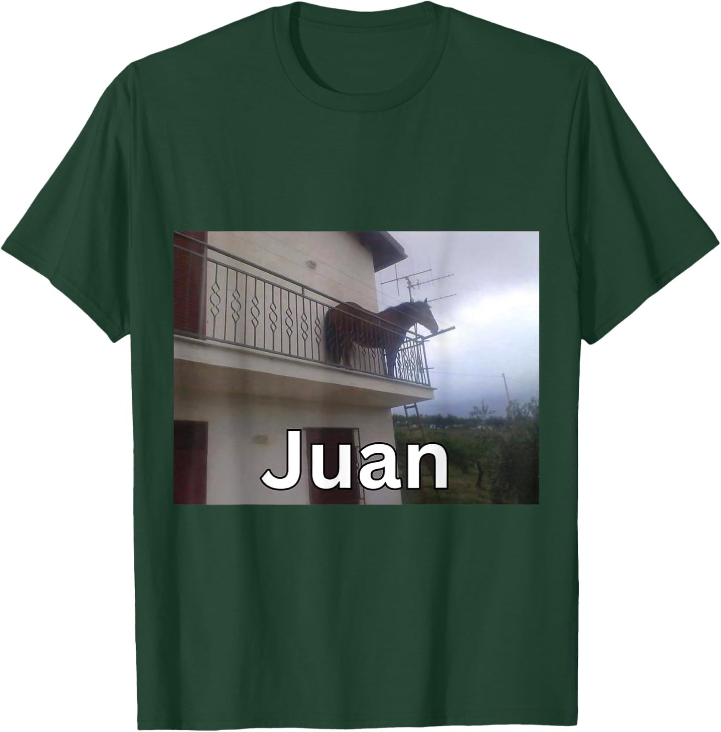 Funny Juan Horse on Balcony Meme T-Shirt - T-Shirt | Forest