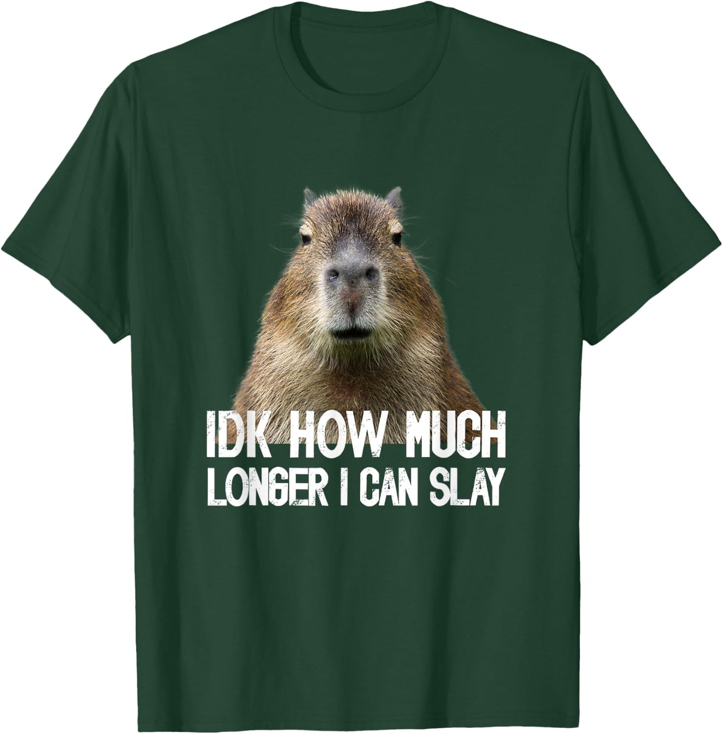 Idk How Much Longer I Can Slay Capybara Sarcastic Dank Meme T-Shirt - T-Shirt | Forest