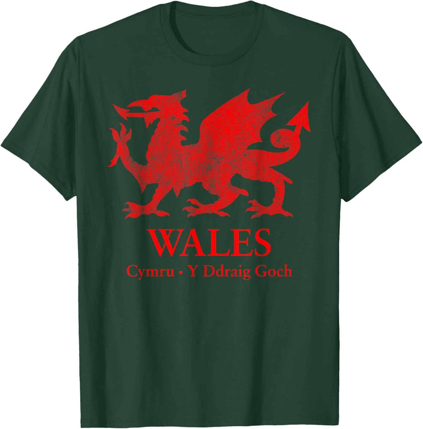 Welsh flag dragon Cymru heraldry flag of Wales St Davids Day T-Shirt - T-Shirt | Forest