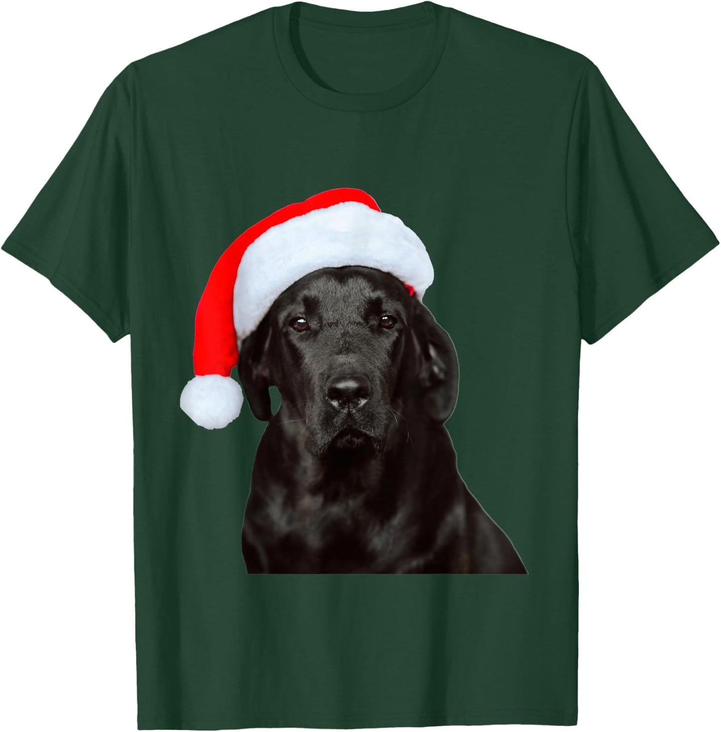 Cute Black Lab Santa Hat Image Christmas Dog Labrador Women Kids T-Shirt - T-Shirt | Forest