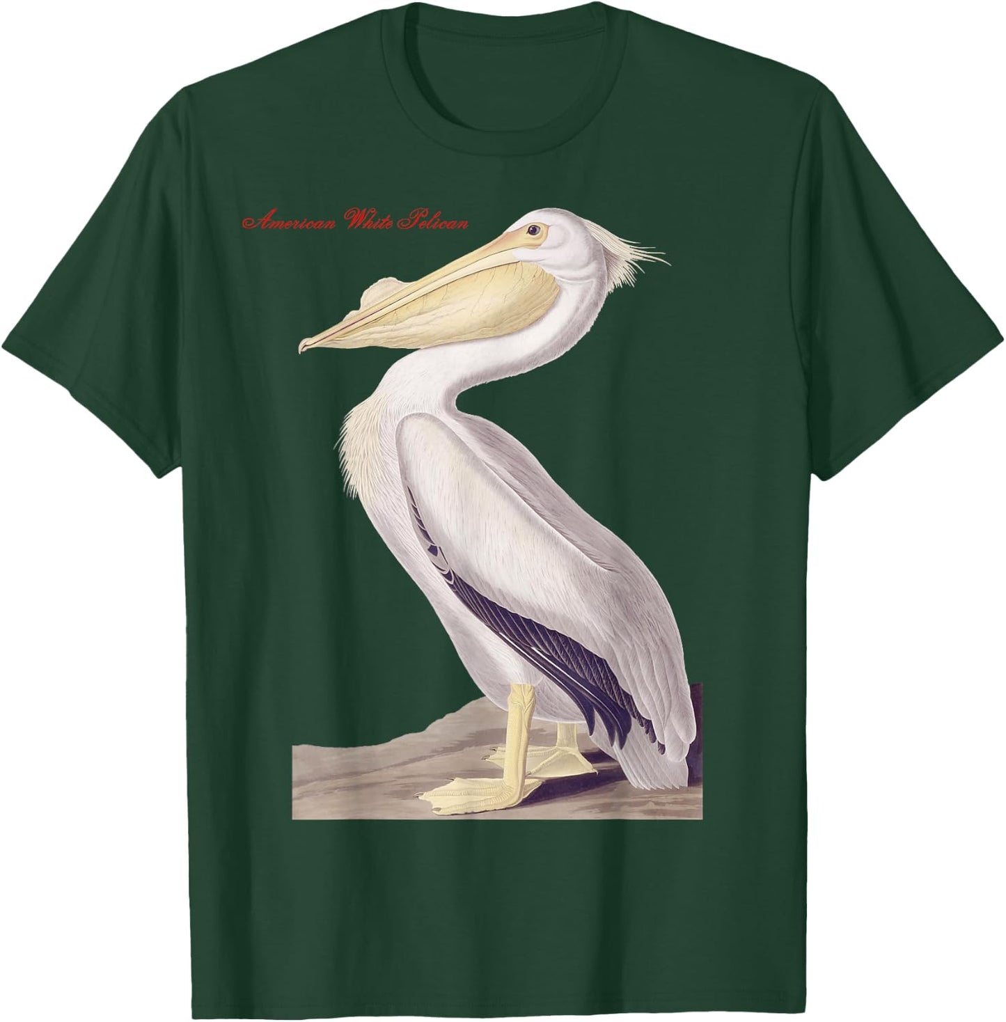 Audubon American White Pelican Birds Education Nature T-Shirt - T-Shirt | Forest