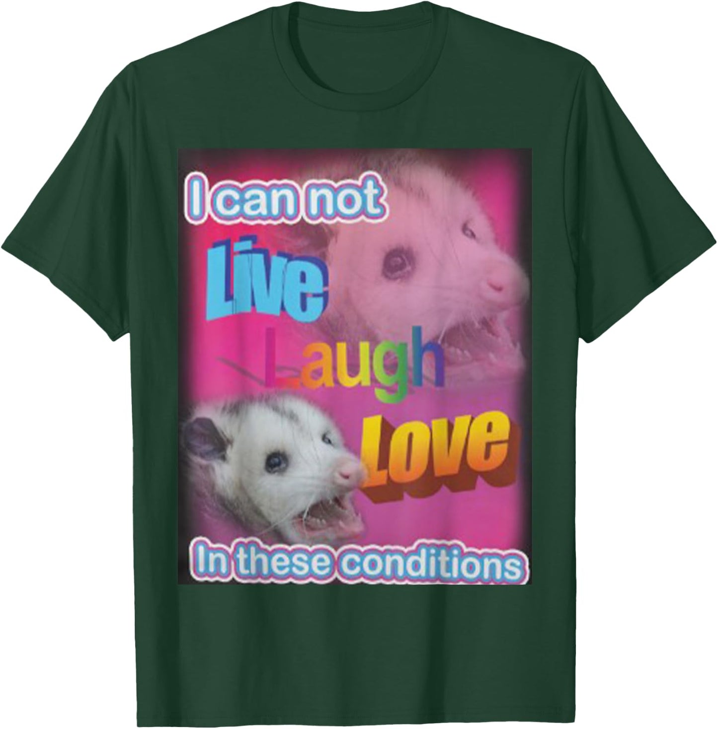 I can not live laugh love in these conditions Raccoon T-Shirt - T-Shirt | Forest