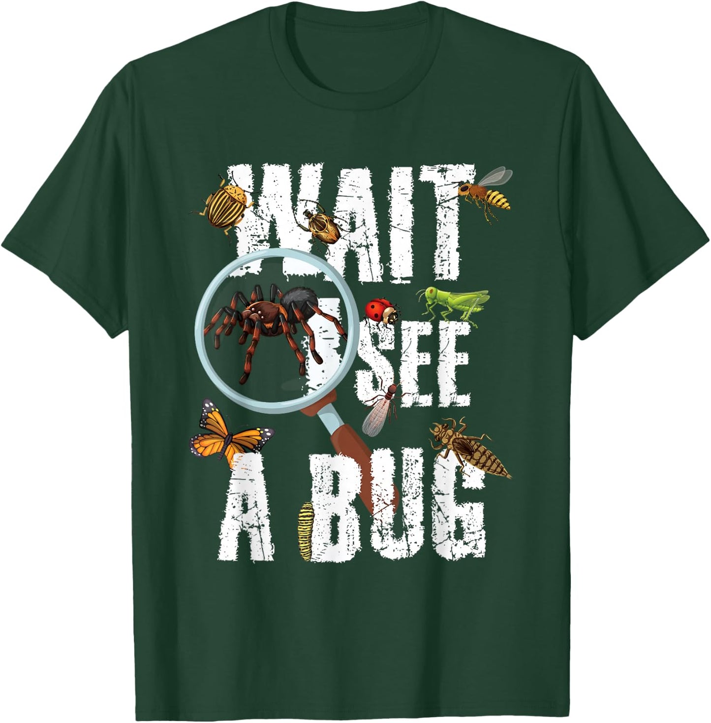 Insects of The World Bug Lover Expert Entomologist Bugs Fan T-Shirt - T-Shirt | Forest