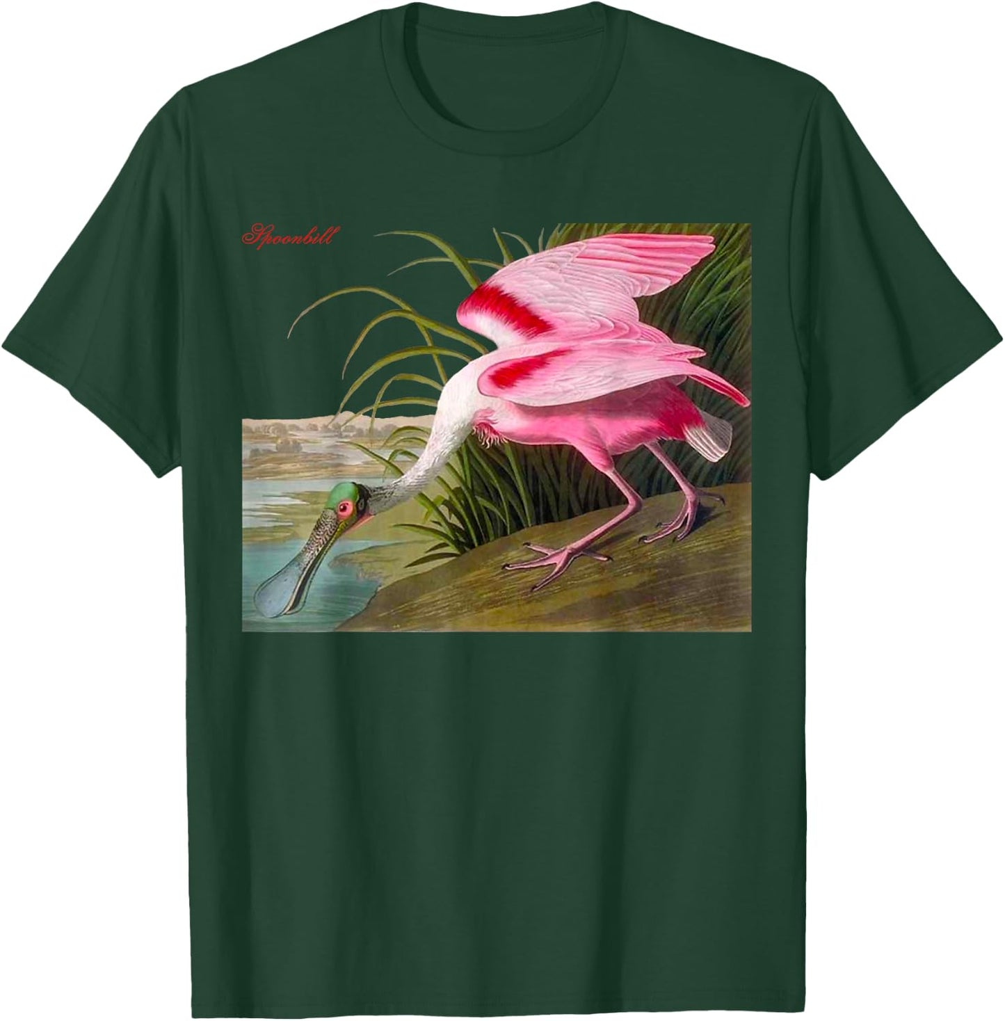 Audubon Spoonbill North American Birds Education Nature T-Shirt - T-Shirt | Forest