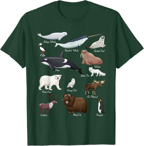 Arctic Wildlife Tundra Ecosystem Animal Names For Education