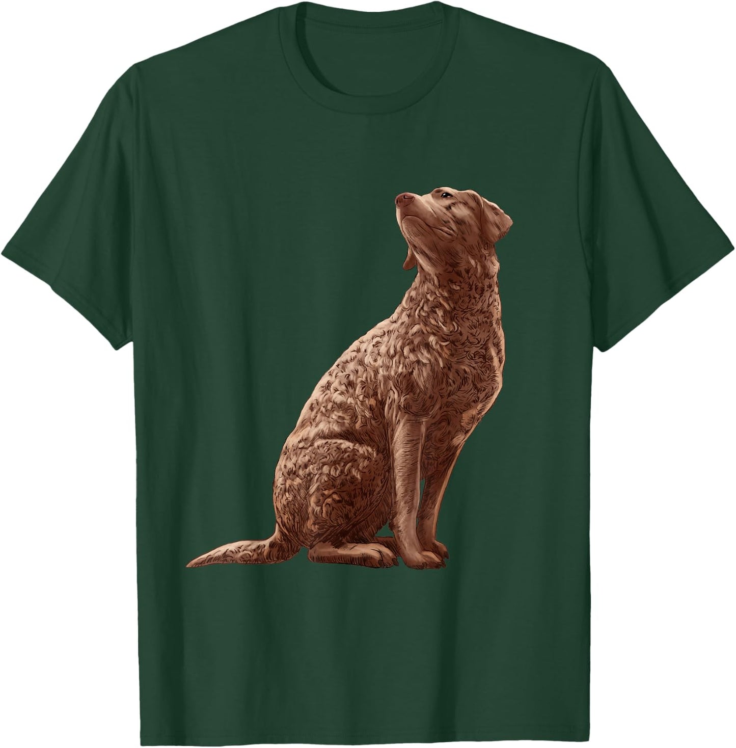 Sitting Dog Chesapeake Bay Retriever T-Shirt - T-Shirt | Forest