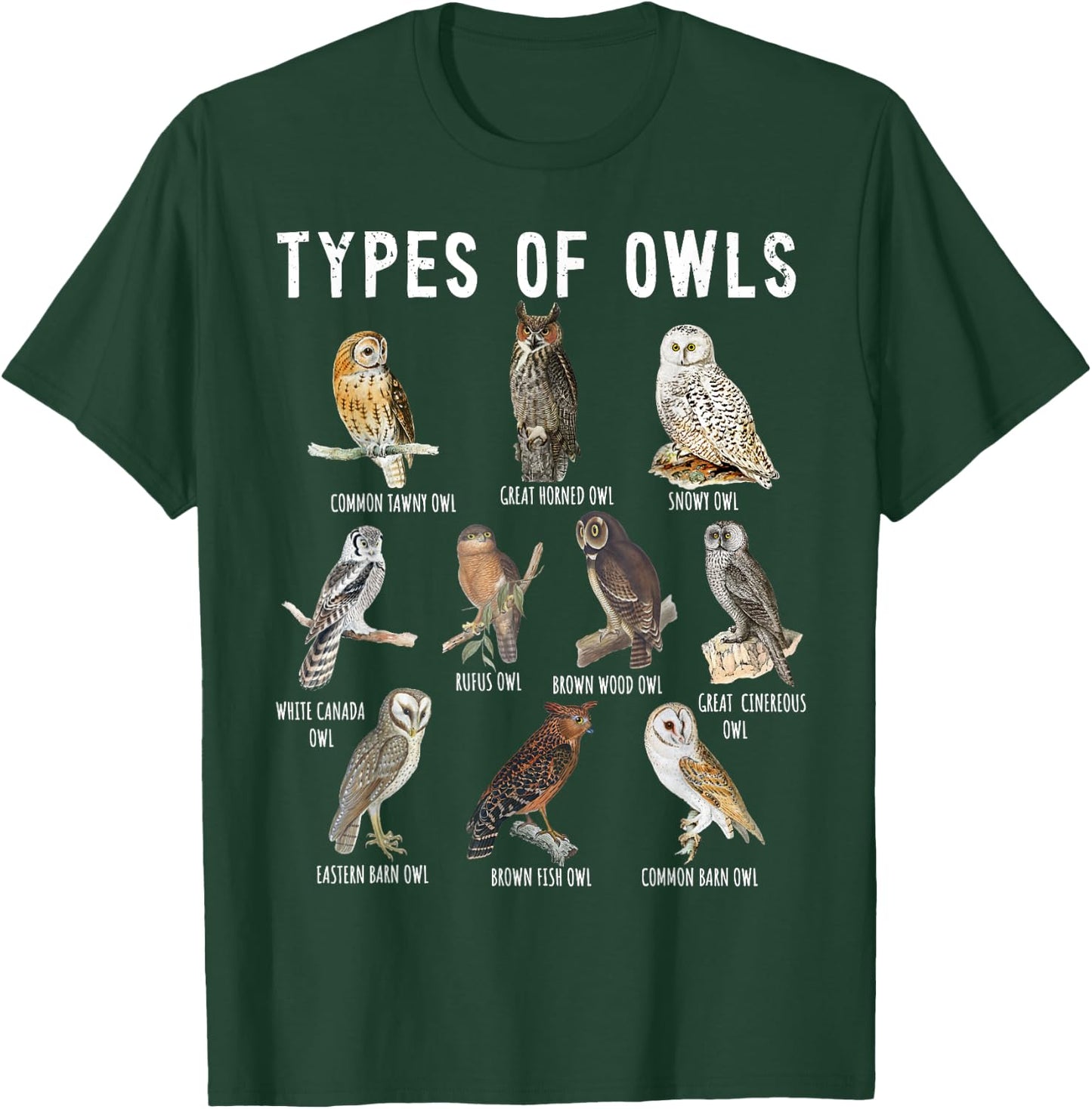 Owl Lover, Owl Types, Bird Lover, Owl T-Shirt - T-Shirt | Forest