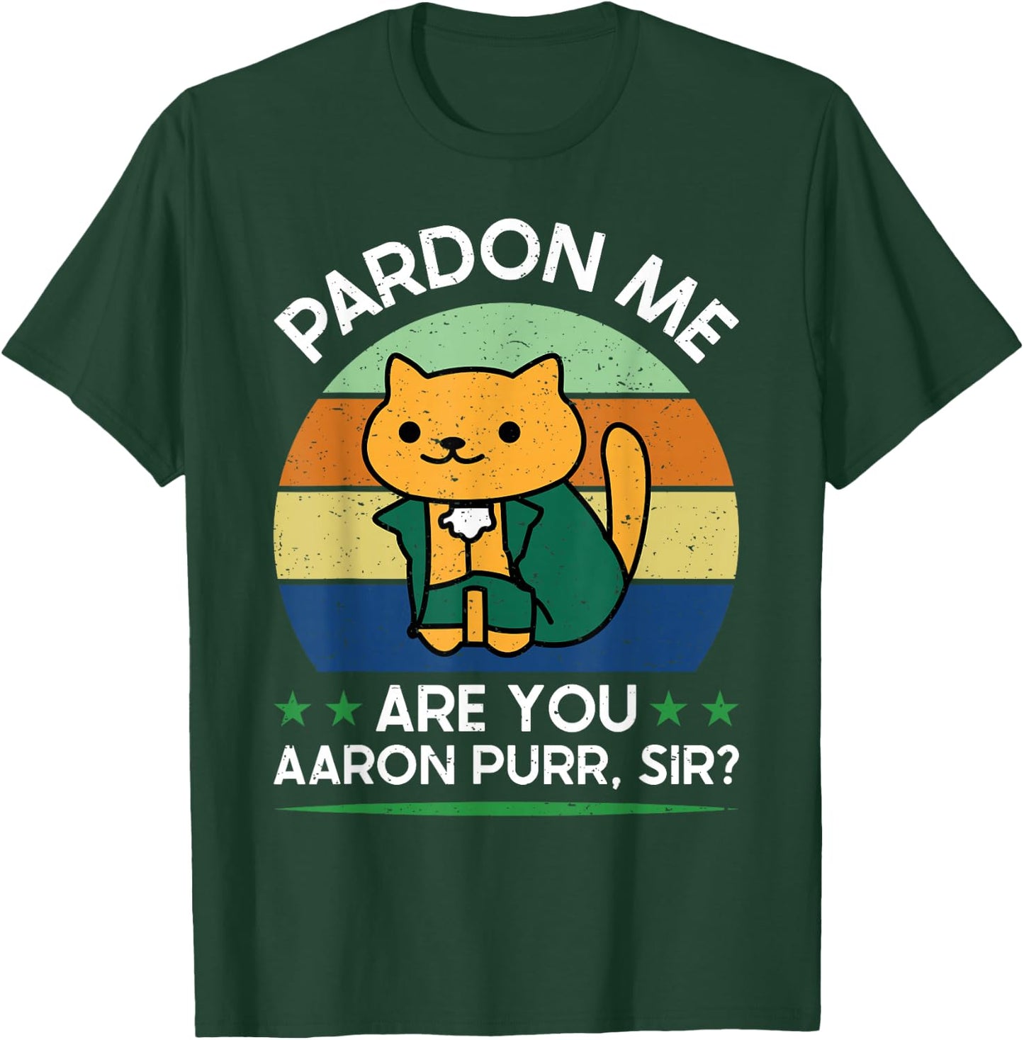 Funny 4Th Of July Pardon Me Are You Aaron Purr Sir T-Shirt - T-Shirt | Forest