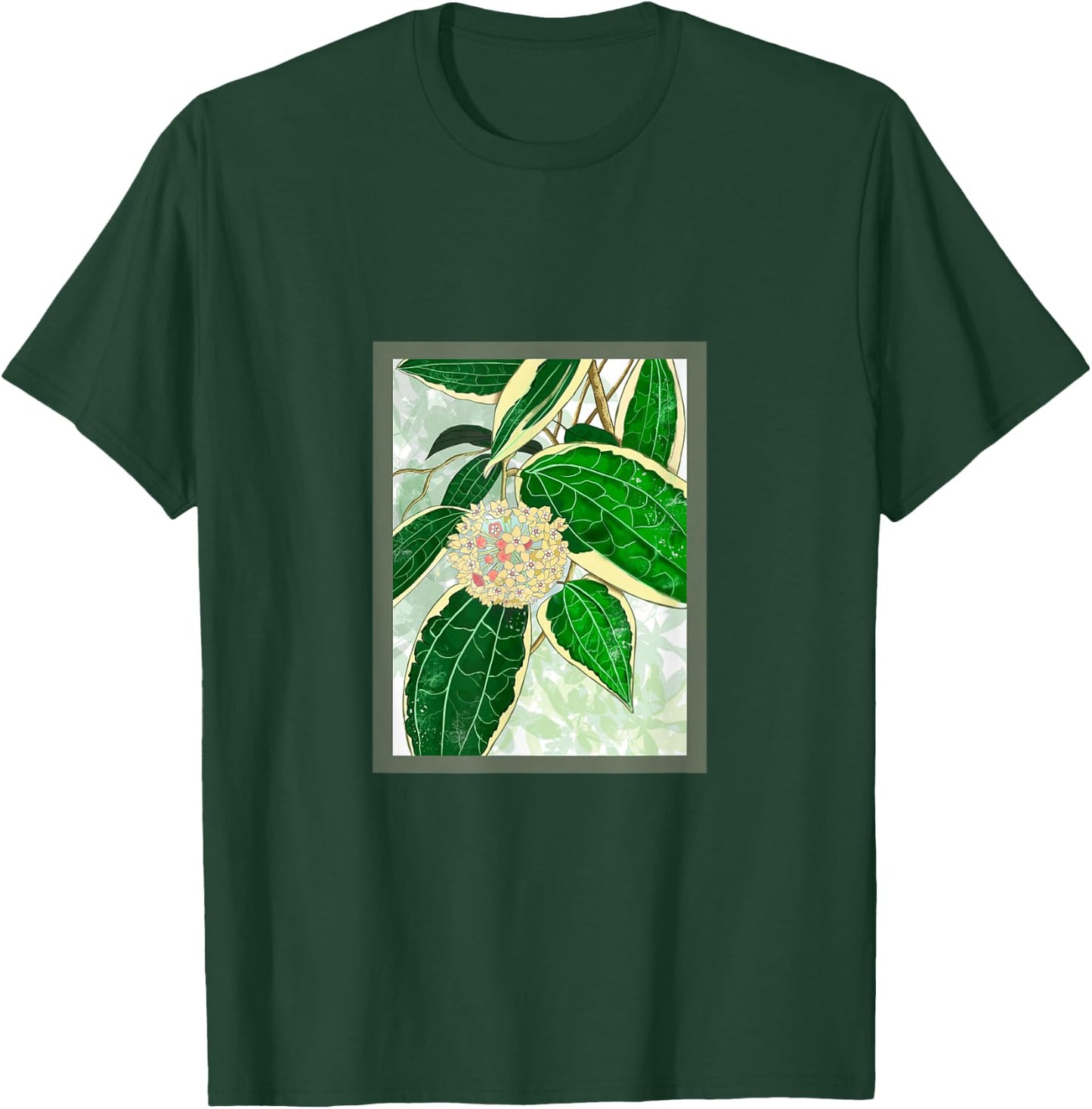 Hoya macrophylla 'Variegata' House Plant Art T-Shirt - T-Shirt | Forest